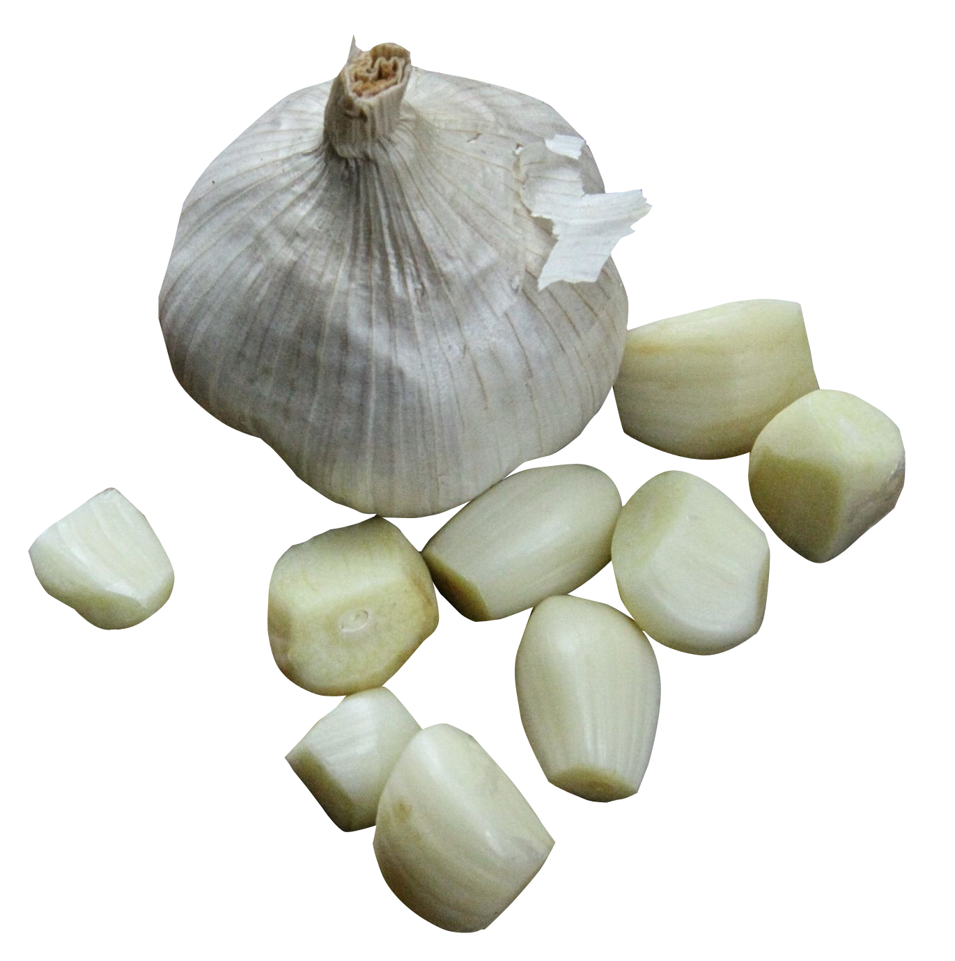 Garlic PNG Image