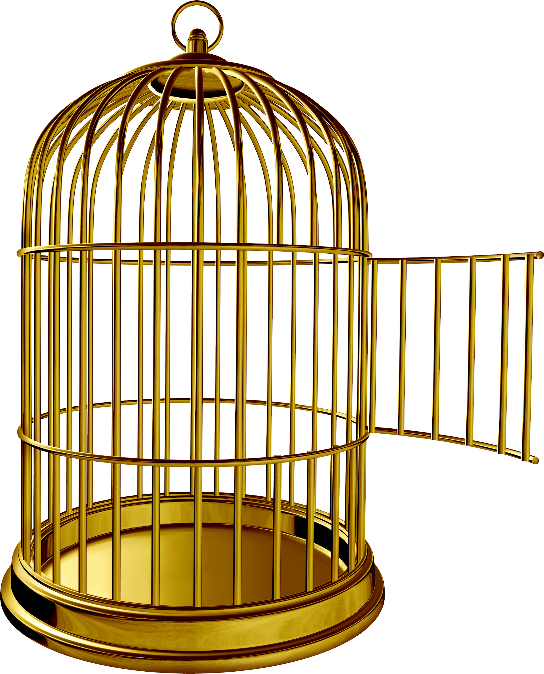 Golden Bird Cage PNG Image