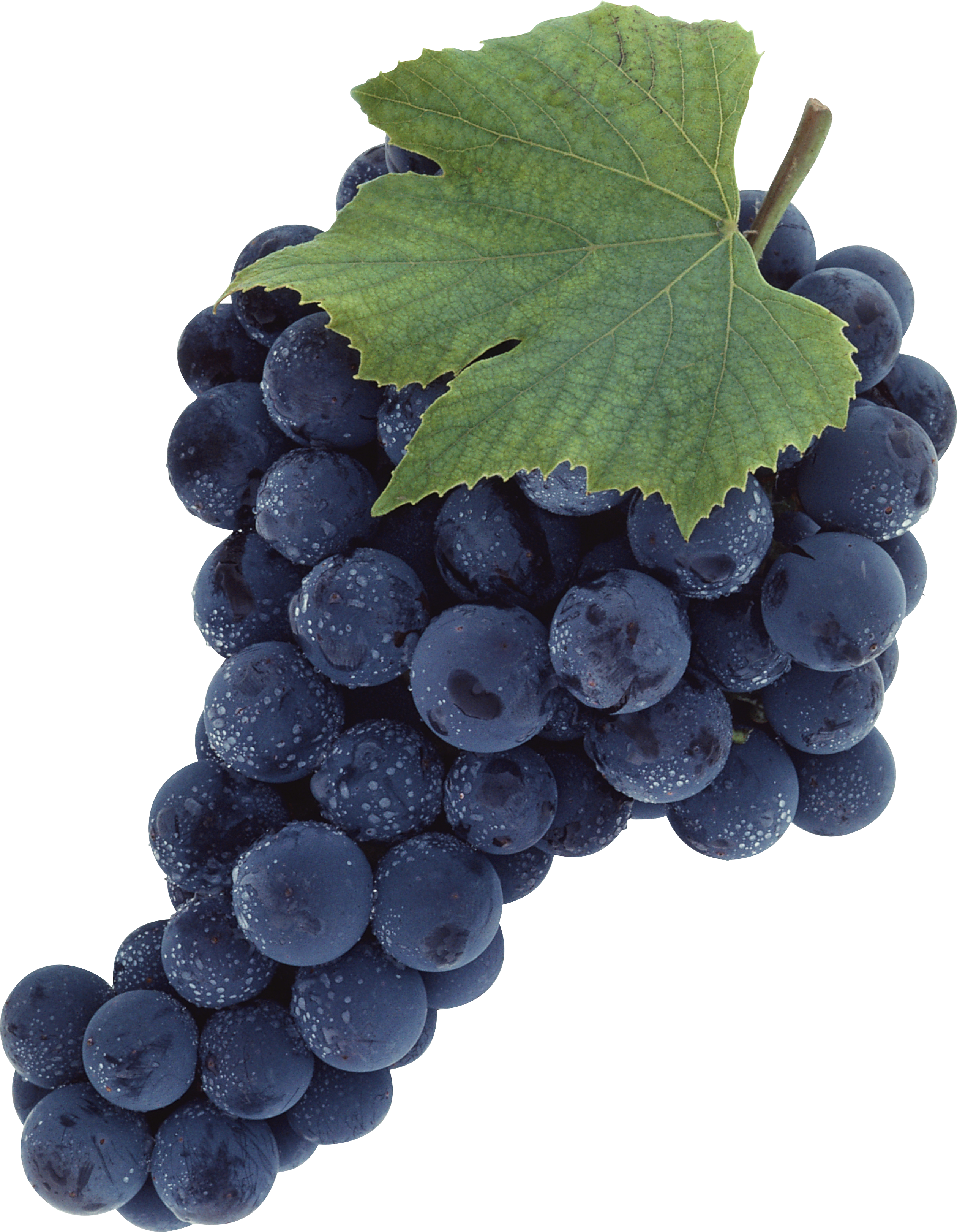 Grapes Png Image Purepng Free Transparent Cc0 Png Image Library
