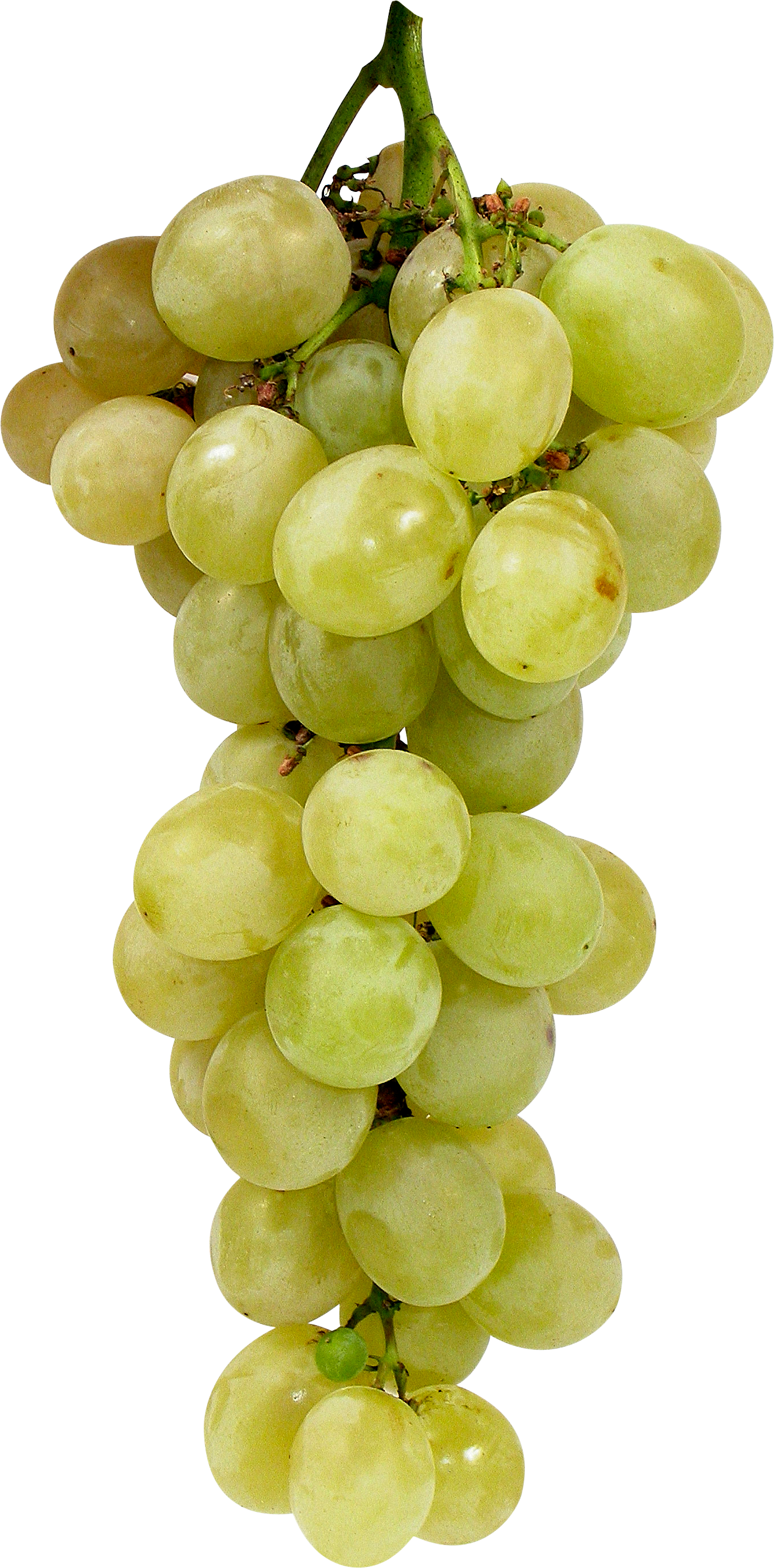 Grapes PNG Image