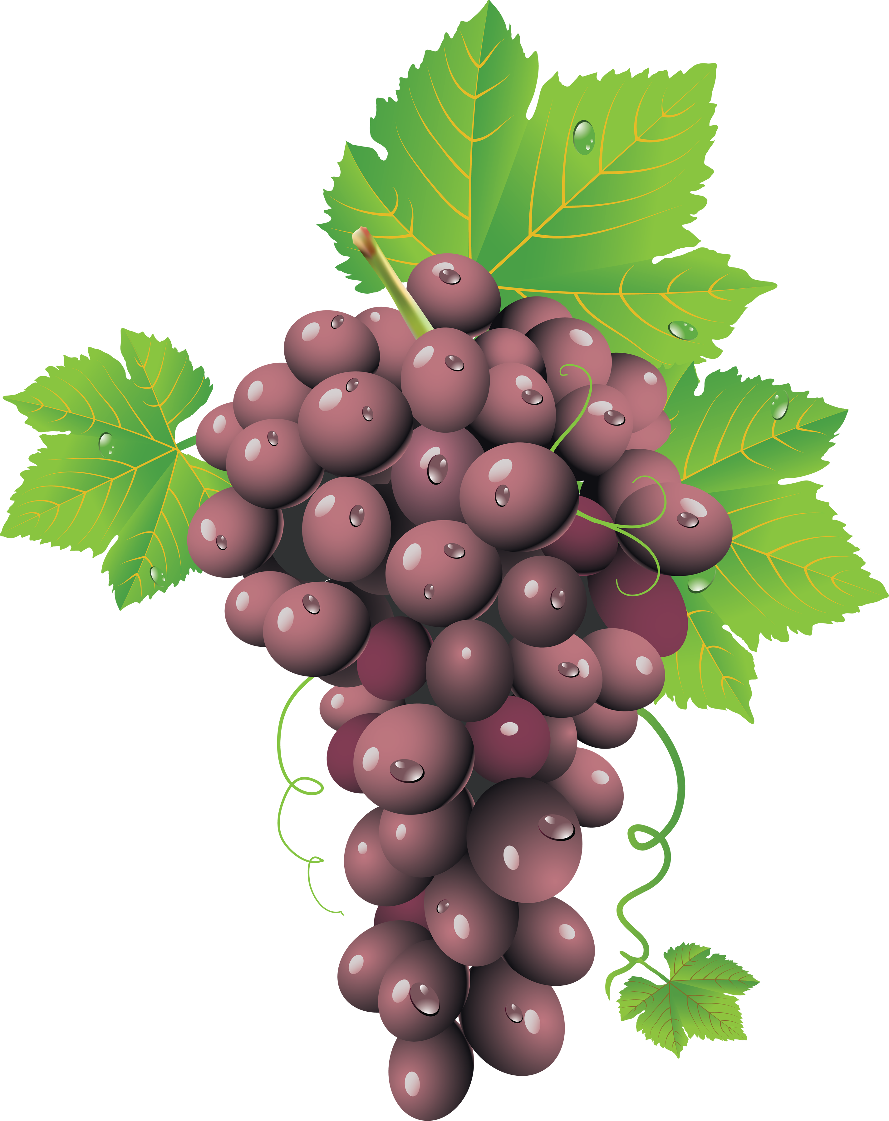Grapes PNG Image