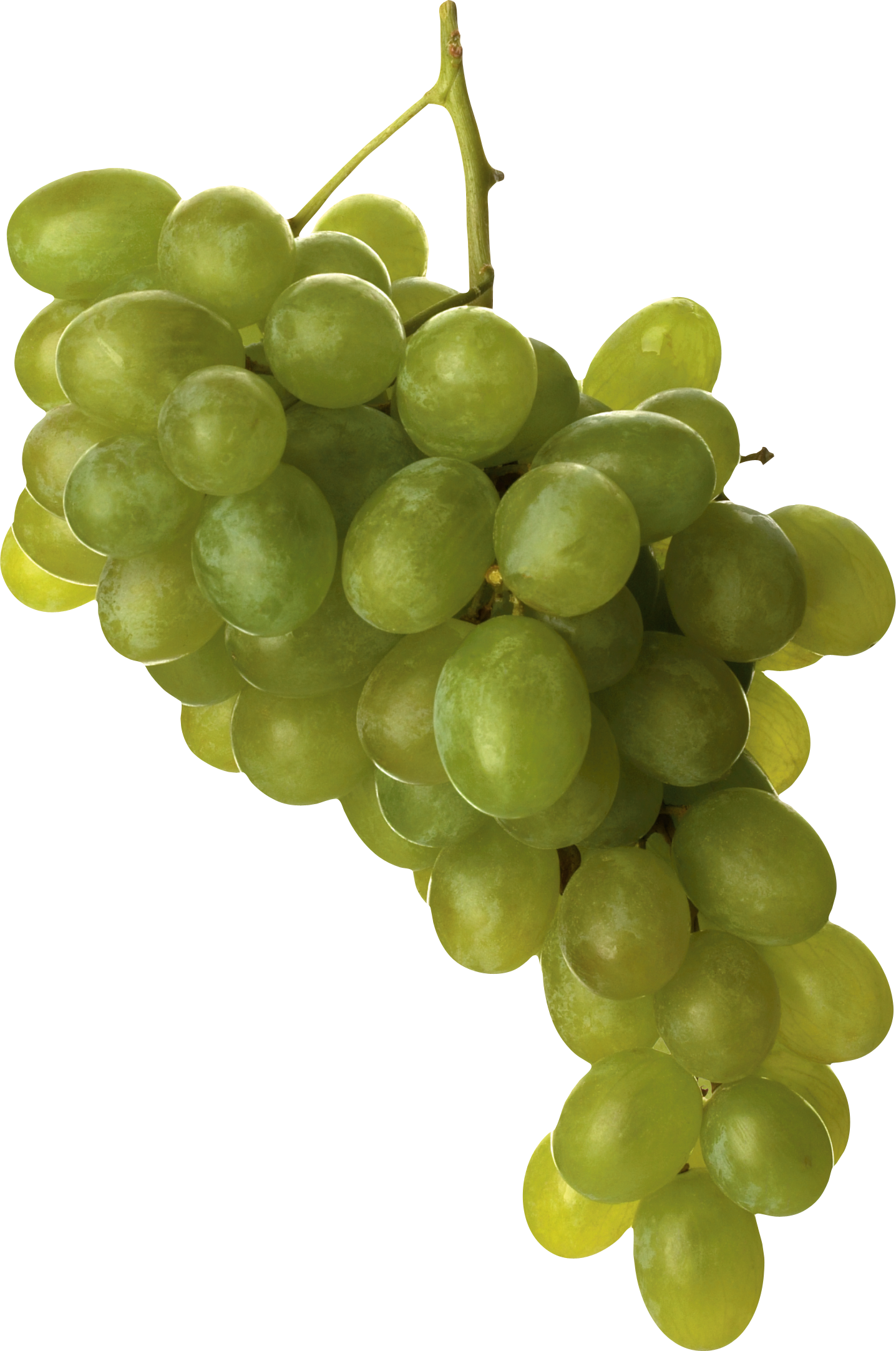Grapes PNG Image for Free Download