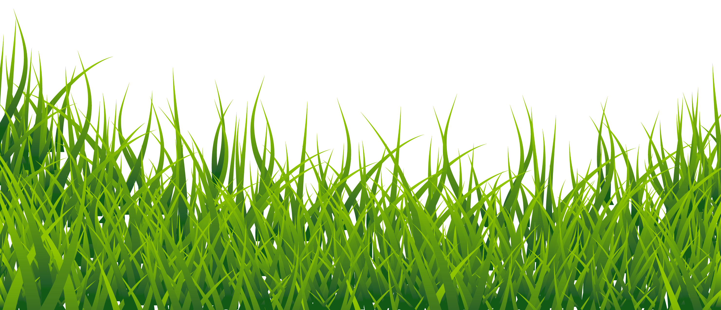 Download Grass Vector PNG Image - PurePNG | Free transparent CC0 ...