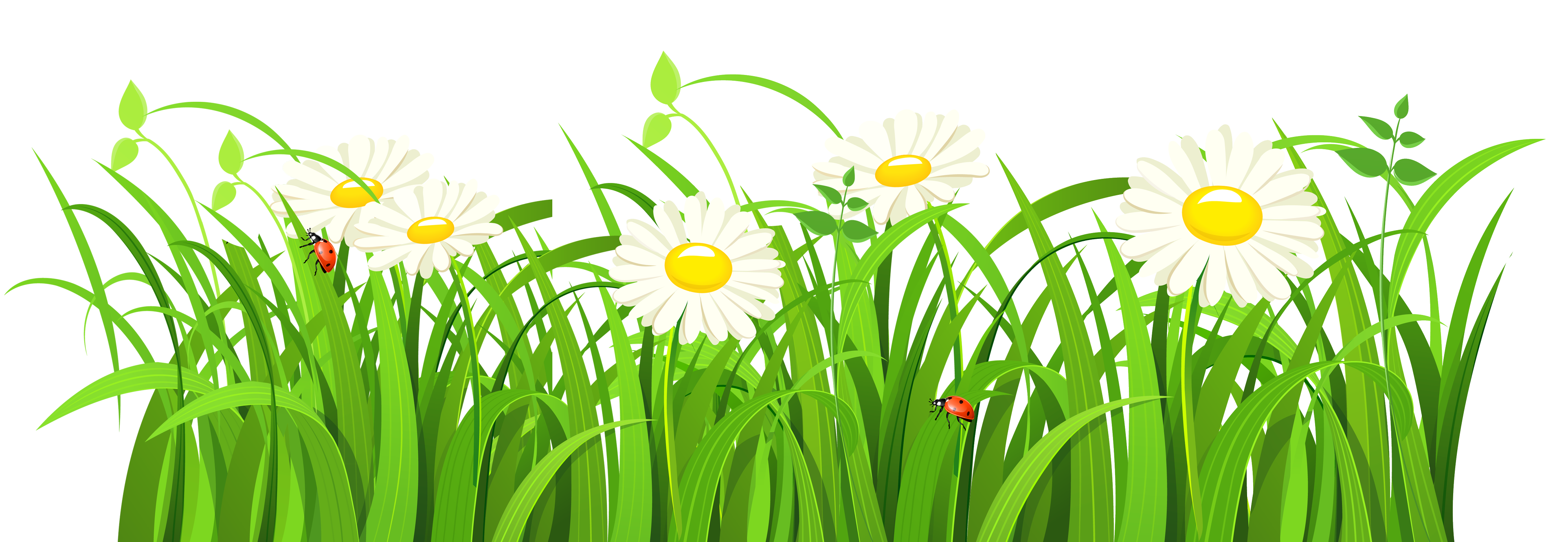 Grass Vector PNG Image
