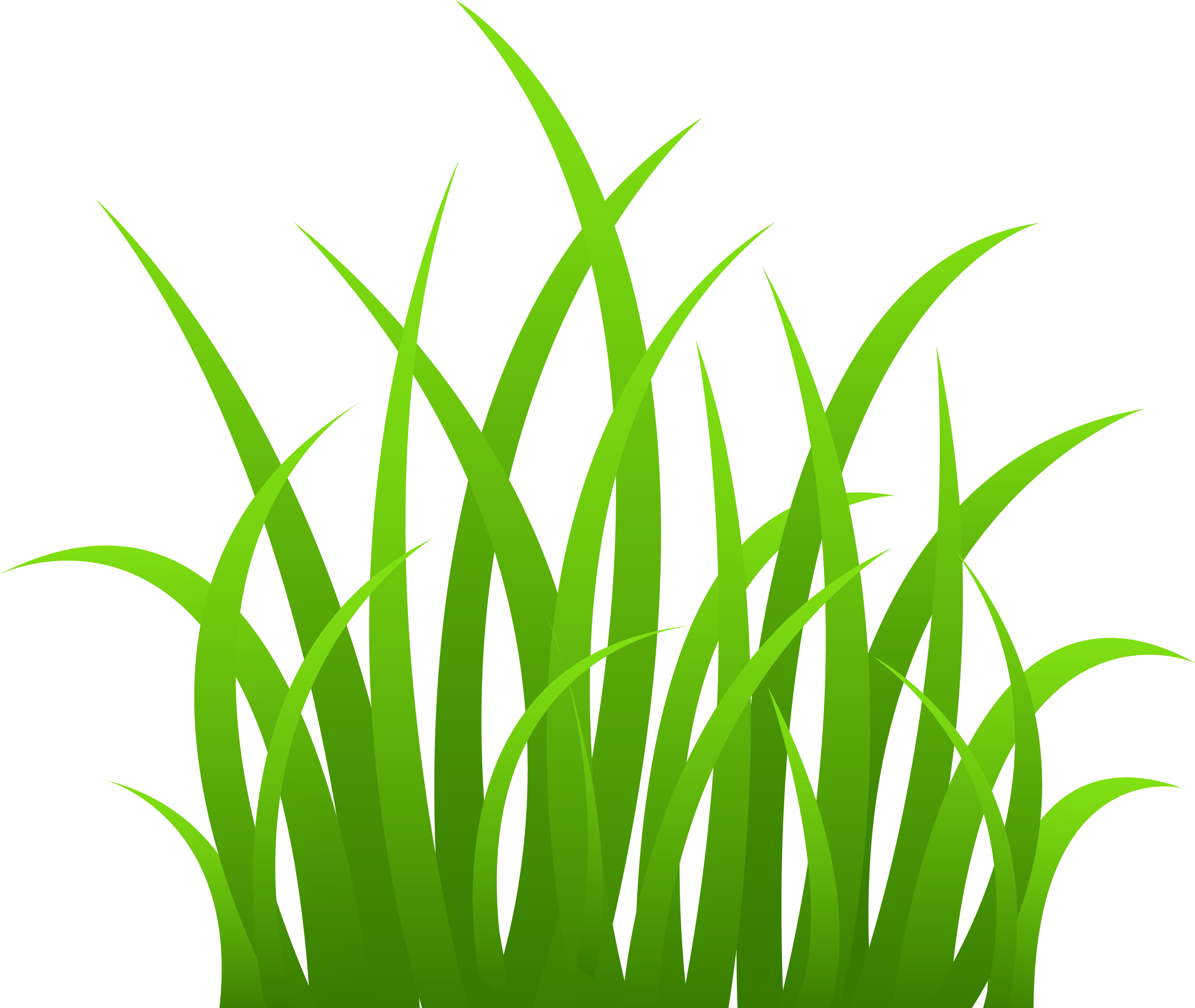 Grass PNG Image