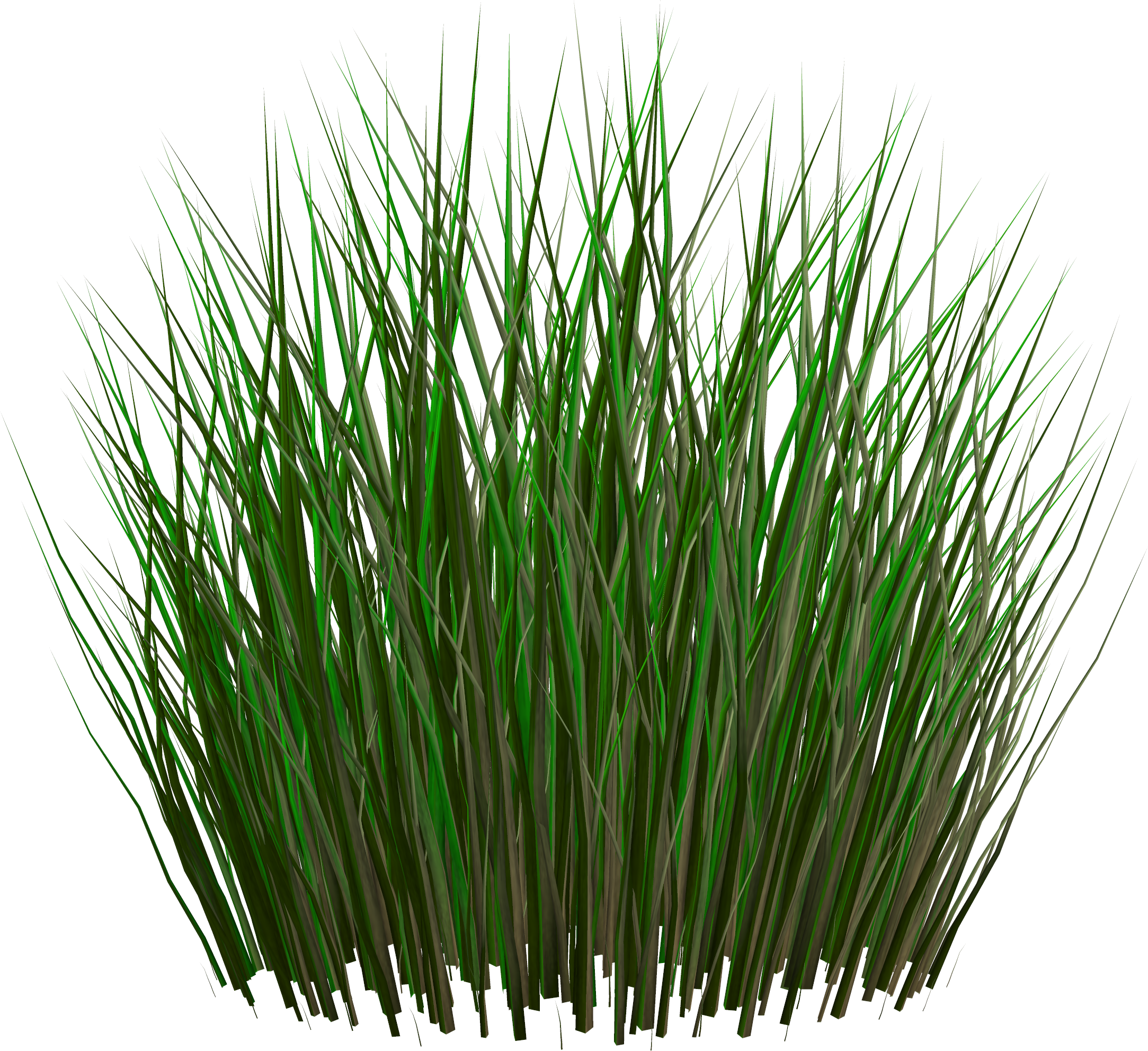grass png Grass png images - Oxilo