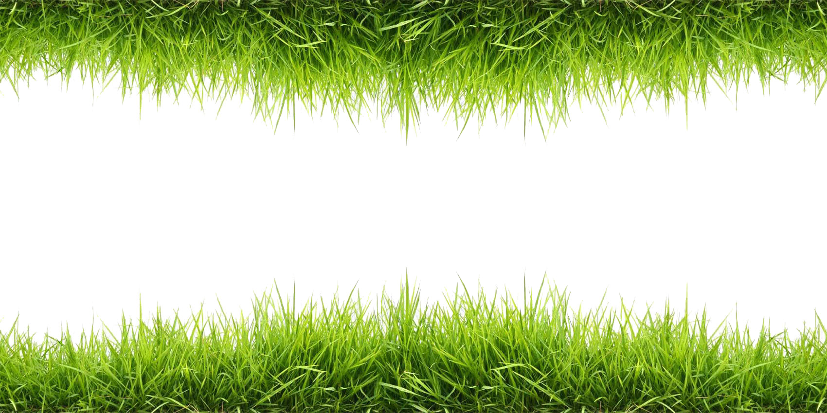 Grass PNG Image for Free Download