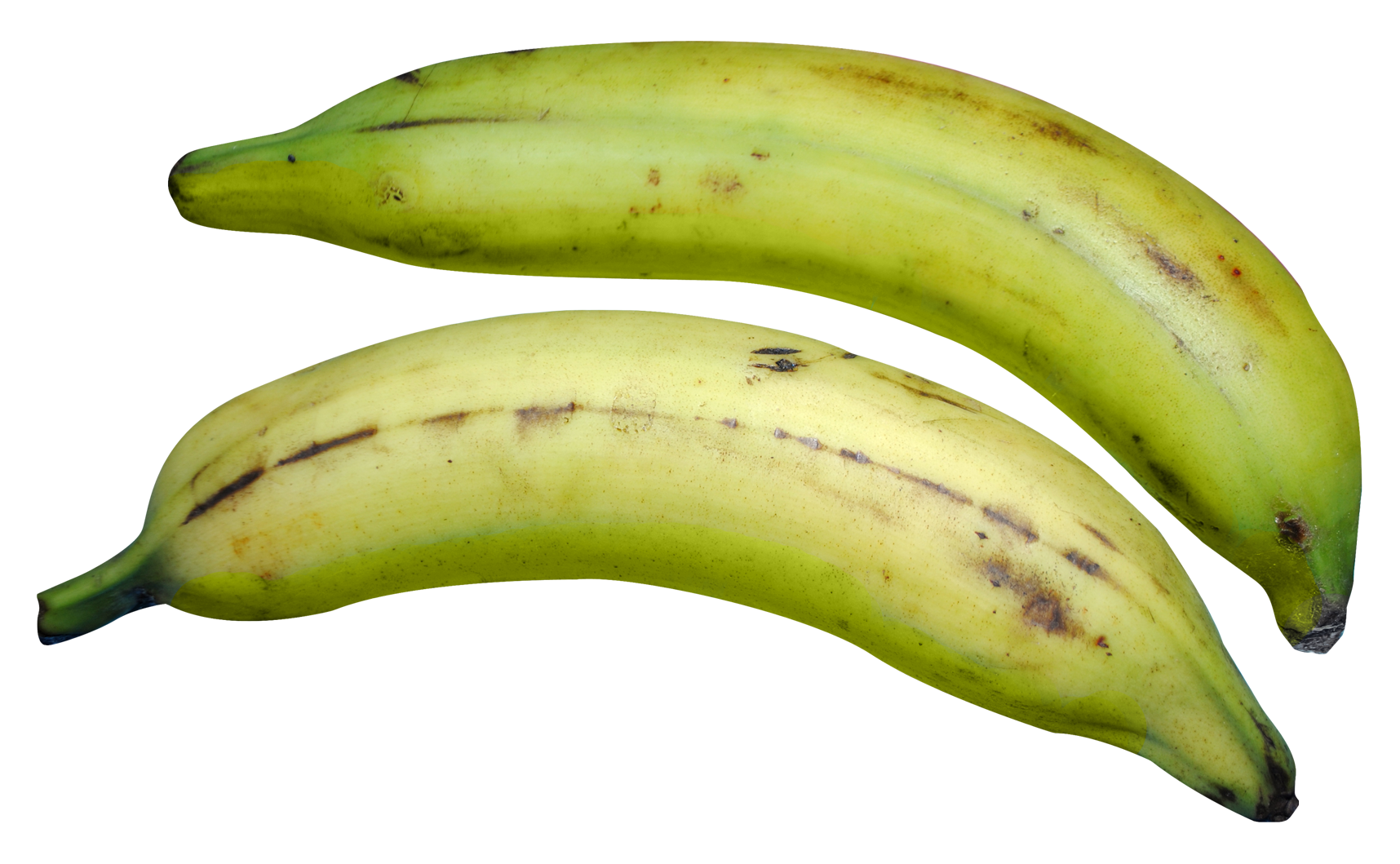 Green Banana PNG Image
