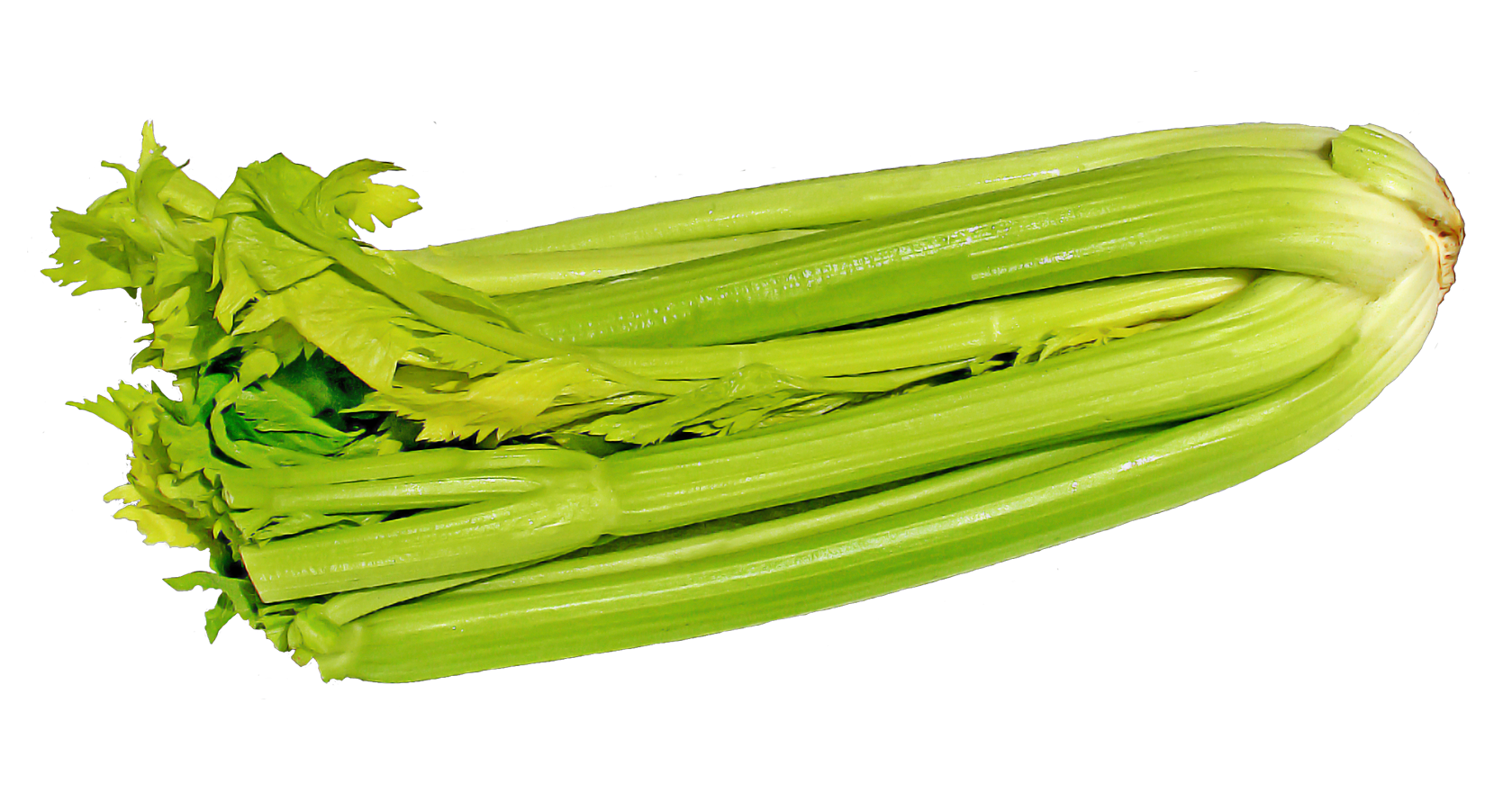 Green Celery