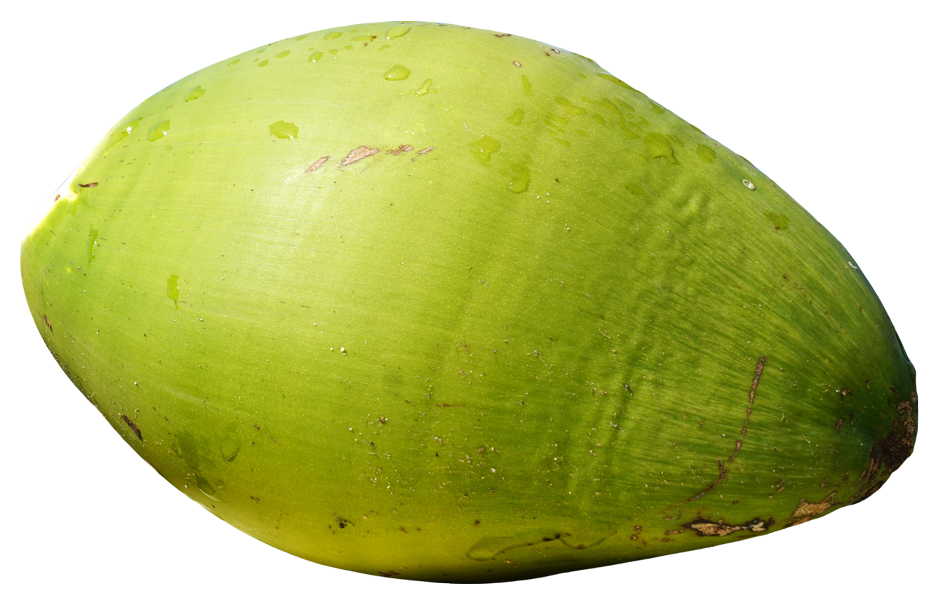 Green  Coconut PNG Image