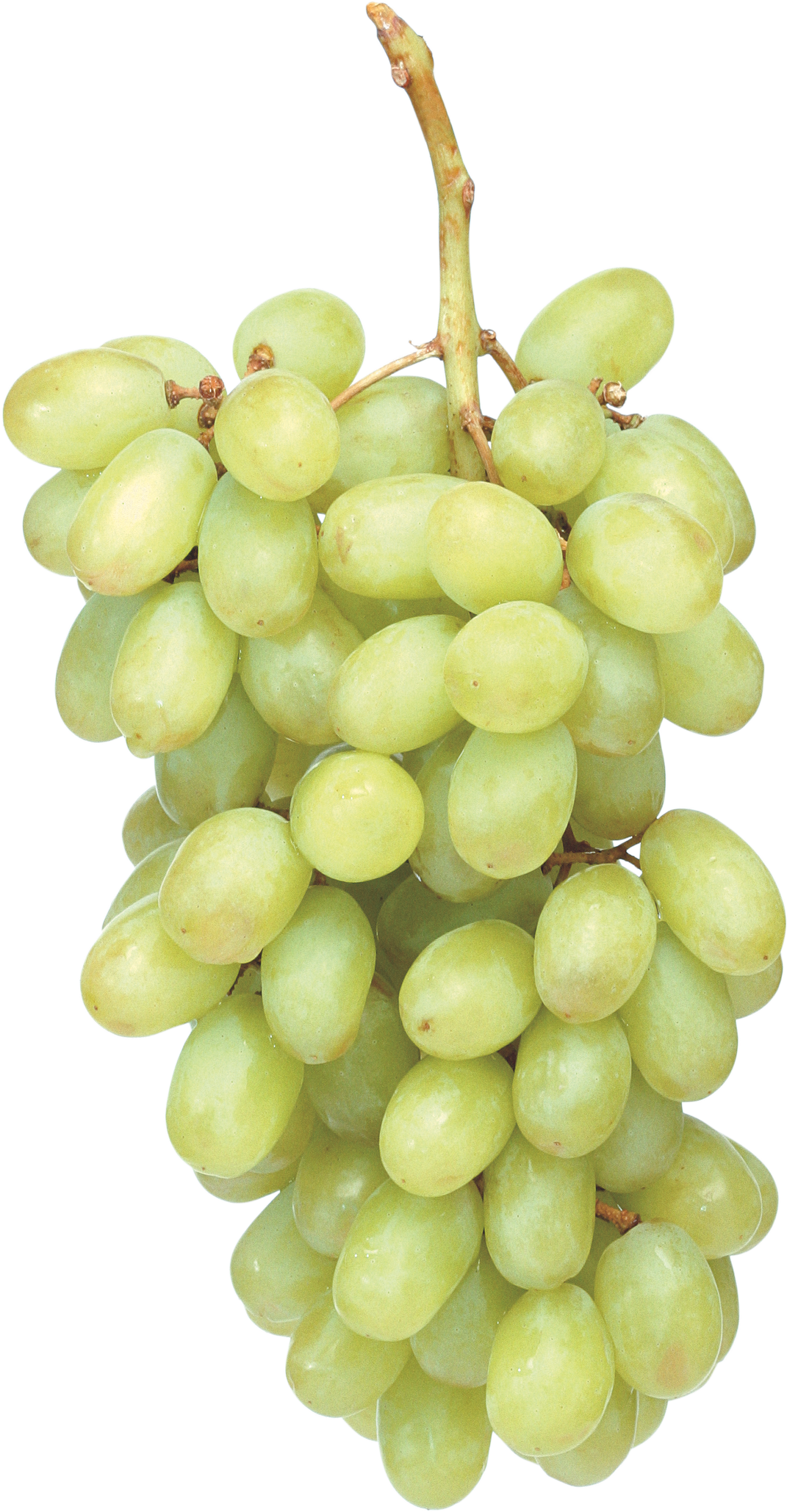 green grapes