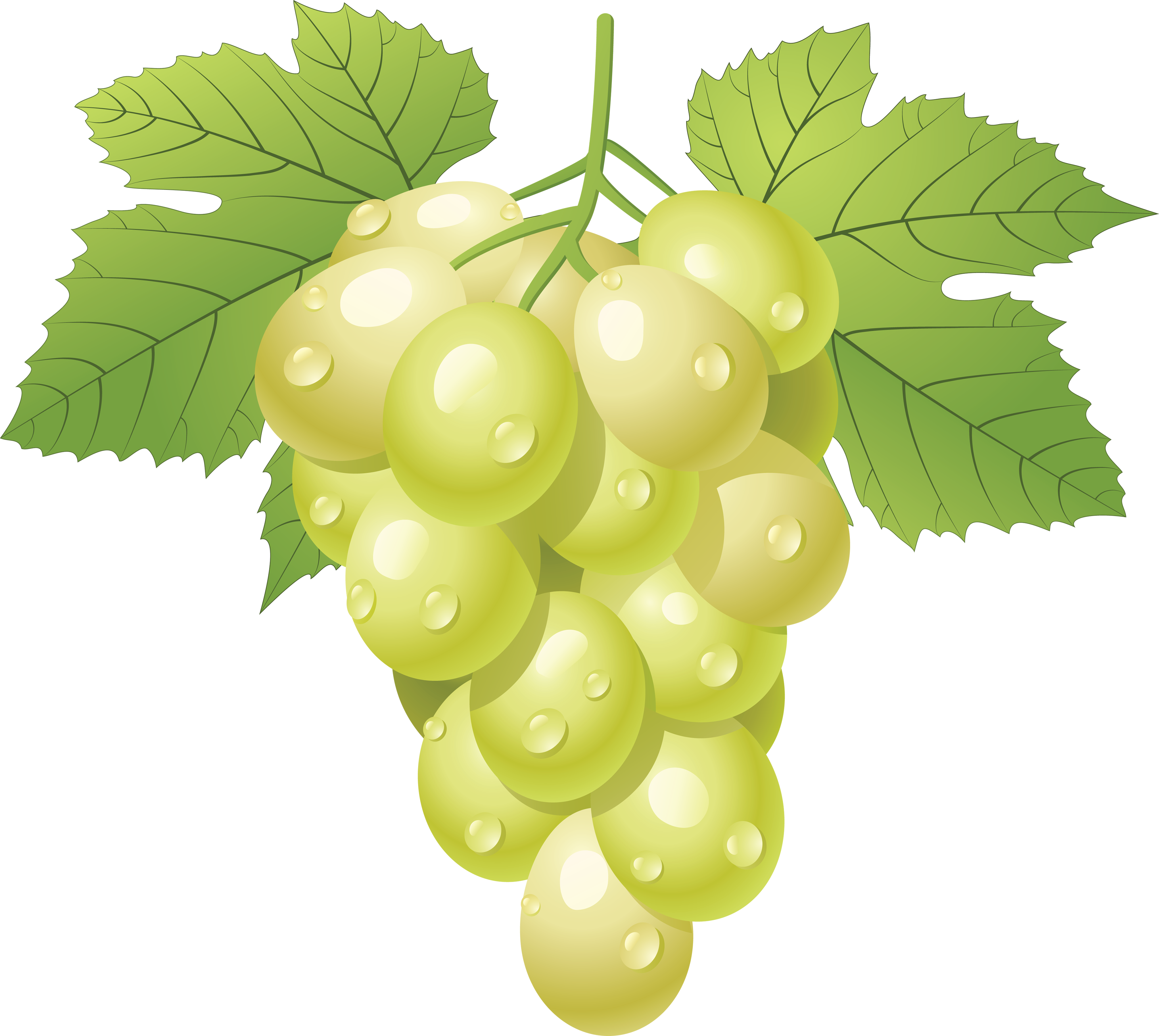 Green Grapes PNG Image