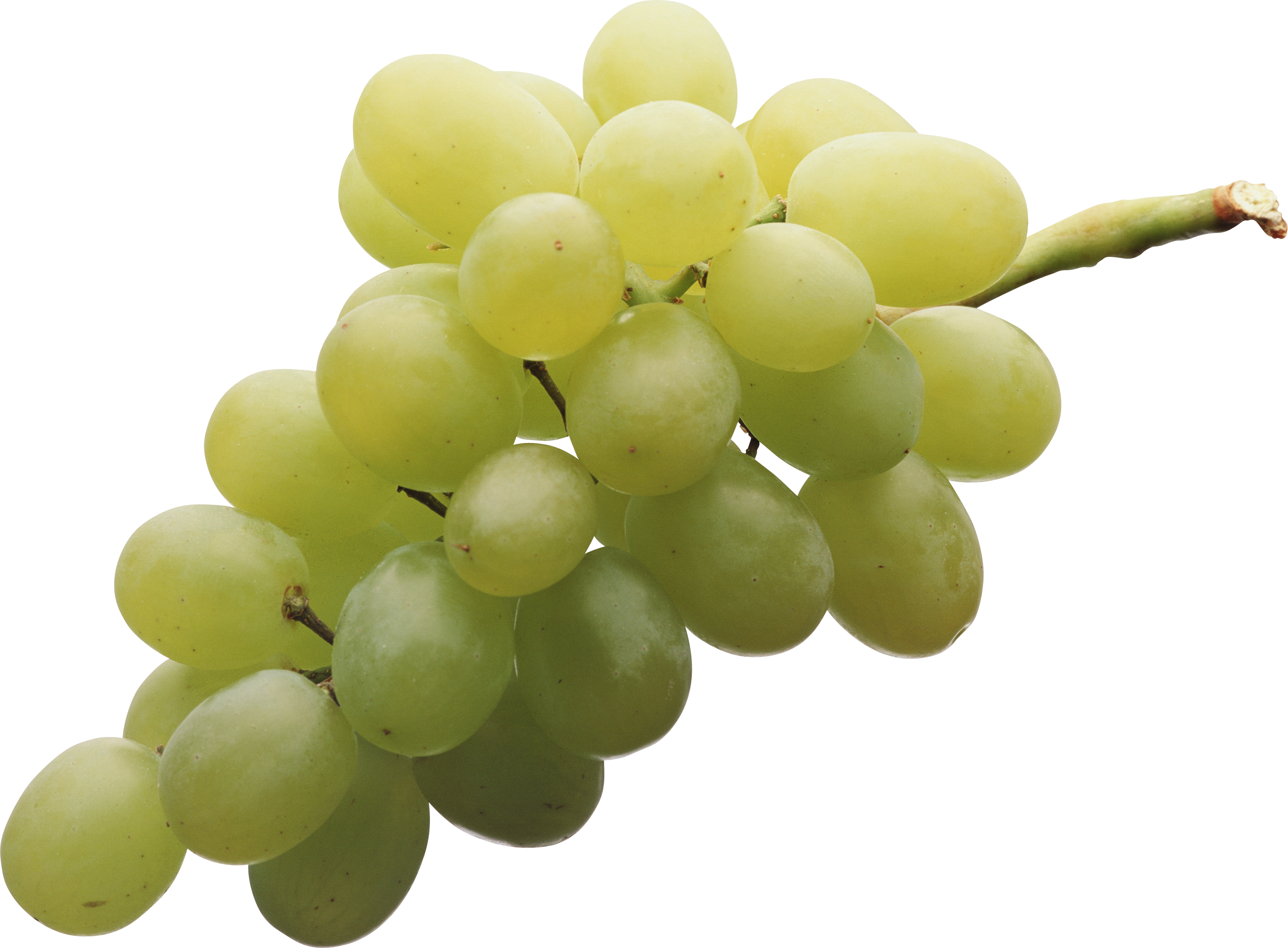 Green Grapes PNG Image