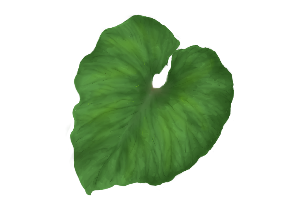 Green Leaves PNG Image