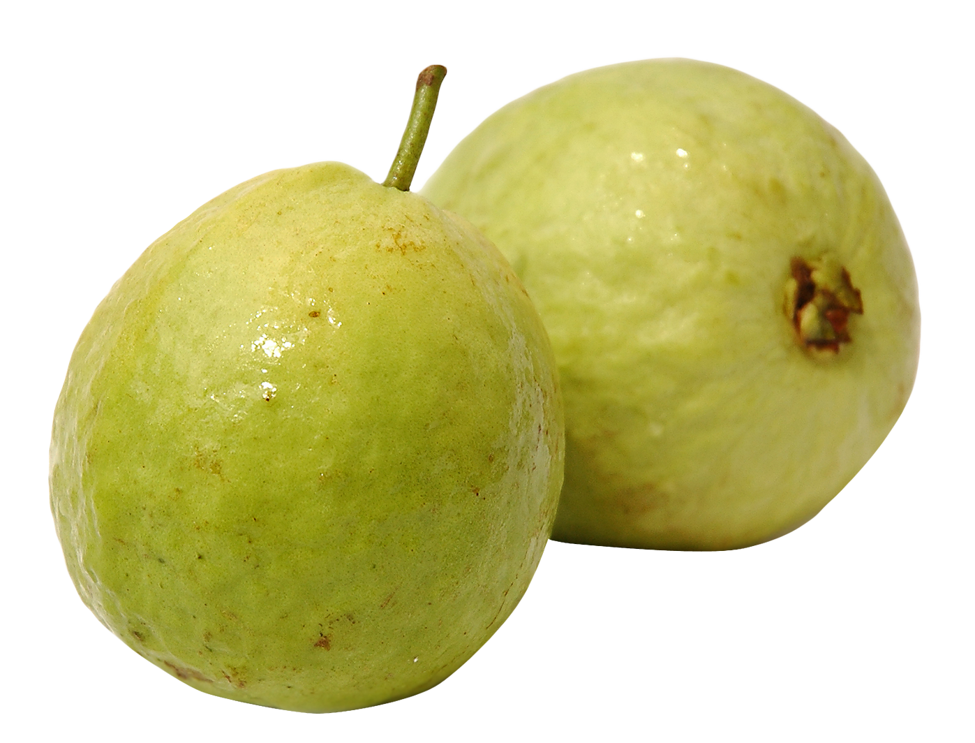 Guava