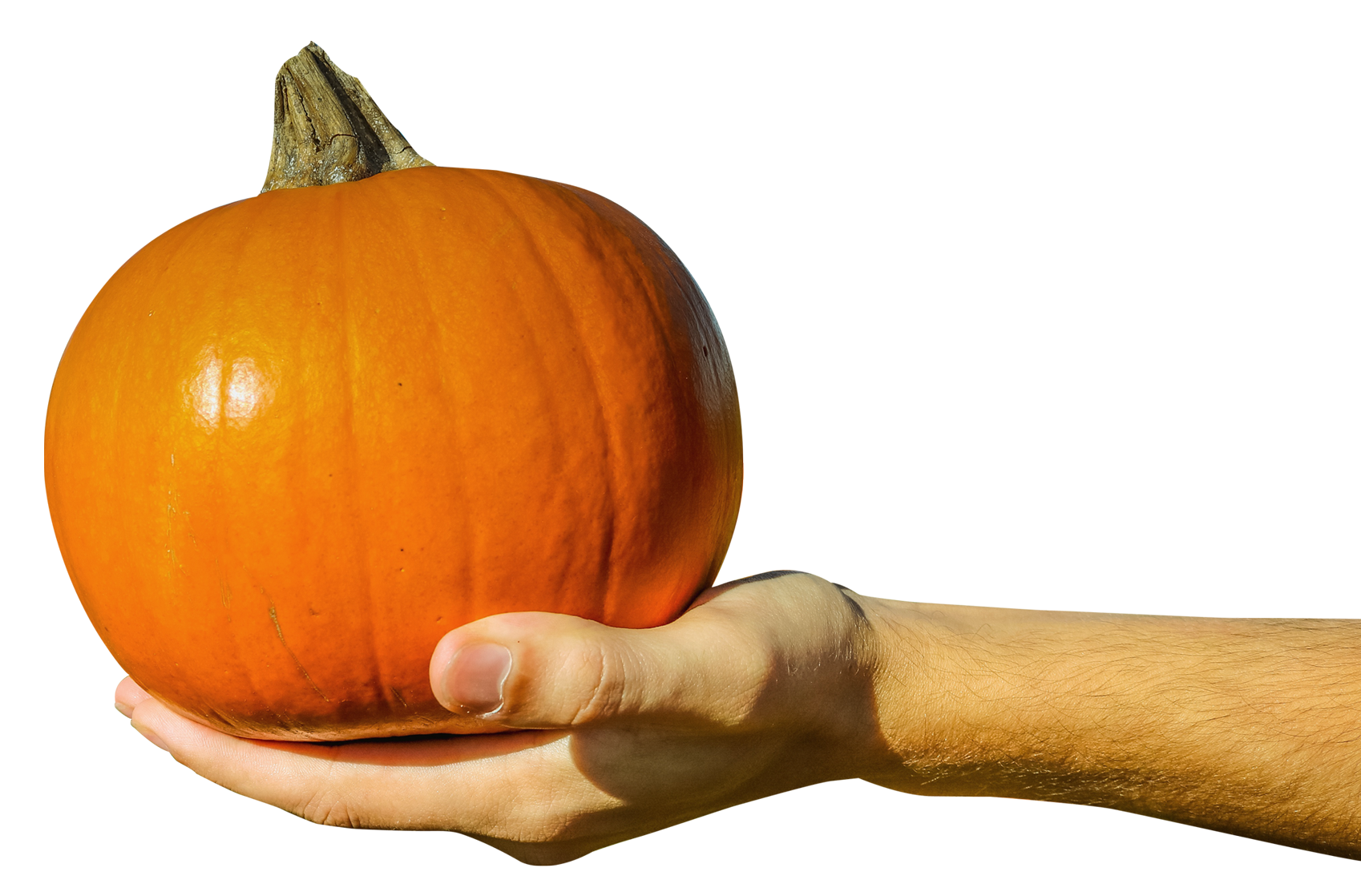 Hand Holding Orange Pumpkin PNG Image