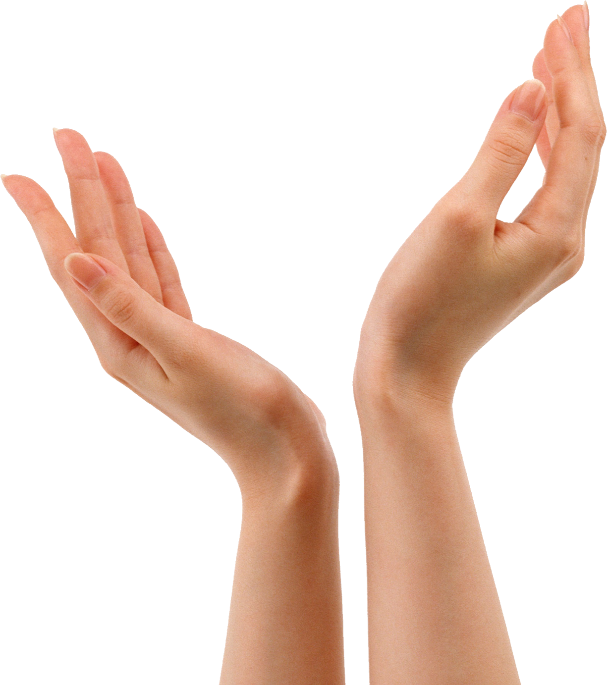 Download Hands PNG Image For Free