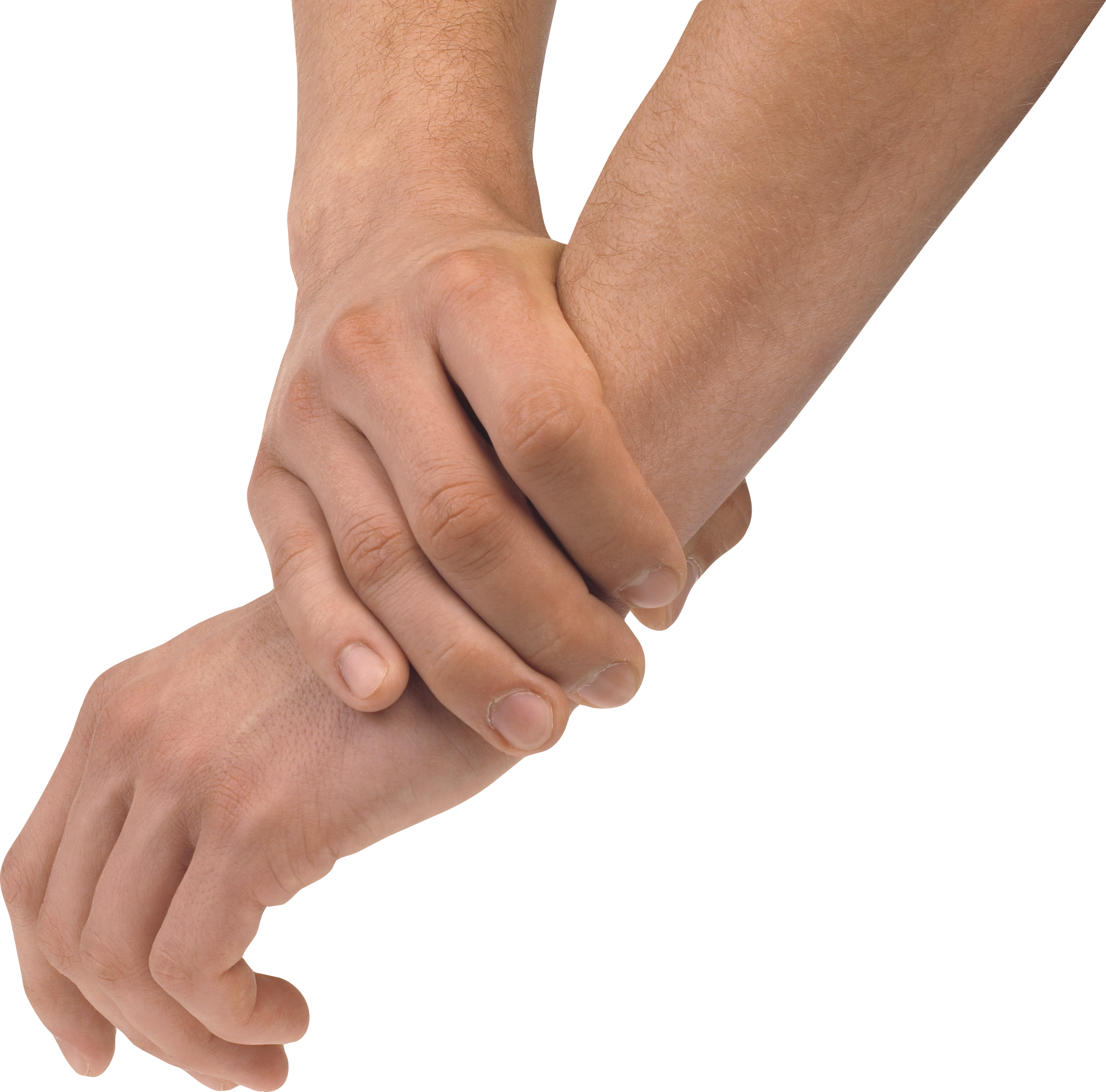 Hands PNG Image