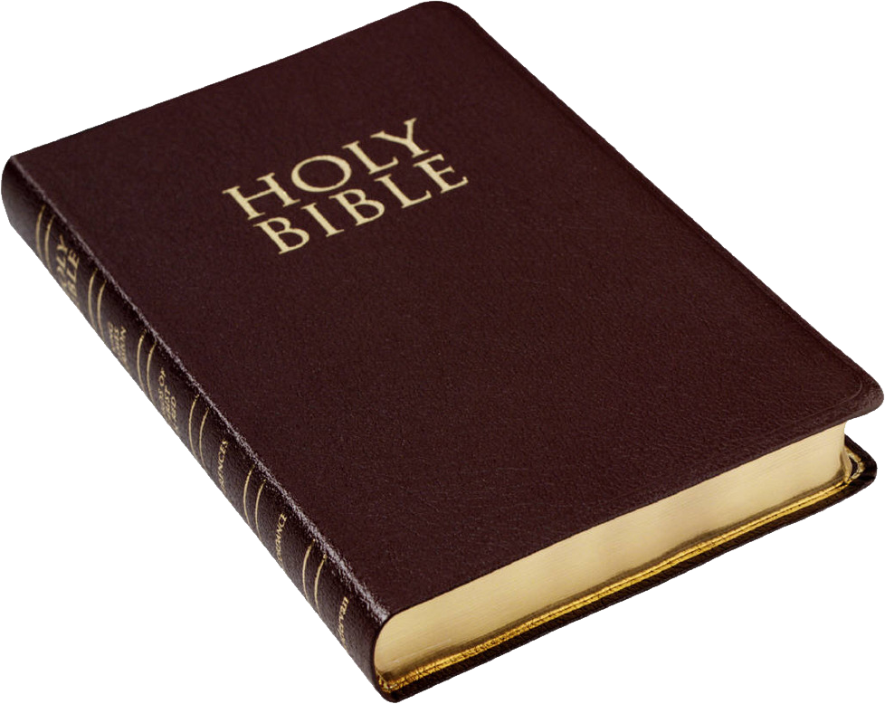 bibles download free