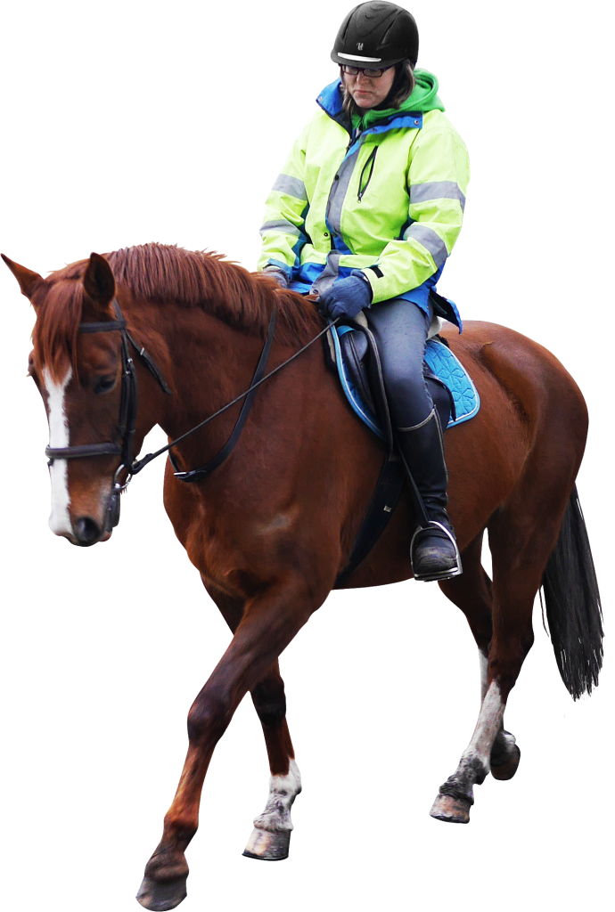 Horse Riding PNG Image