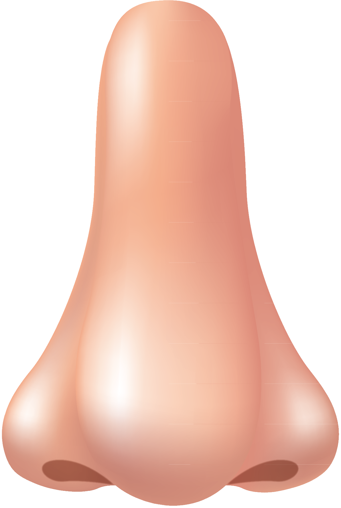 Human Nose PNG Image