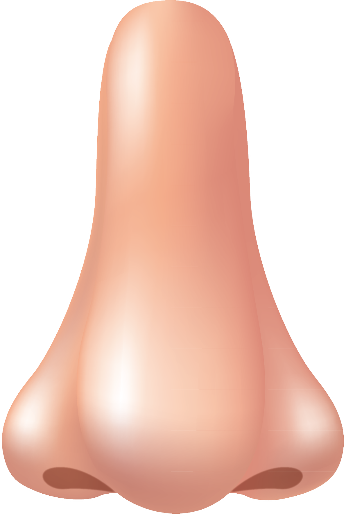 download-human-nose-png-image-for-free