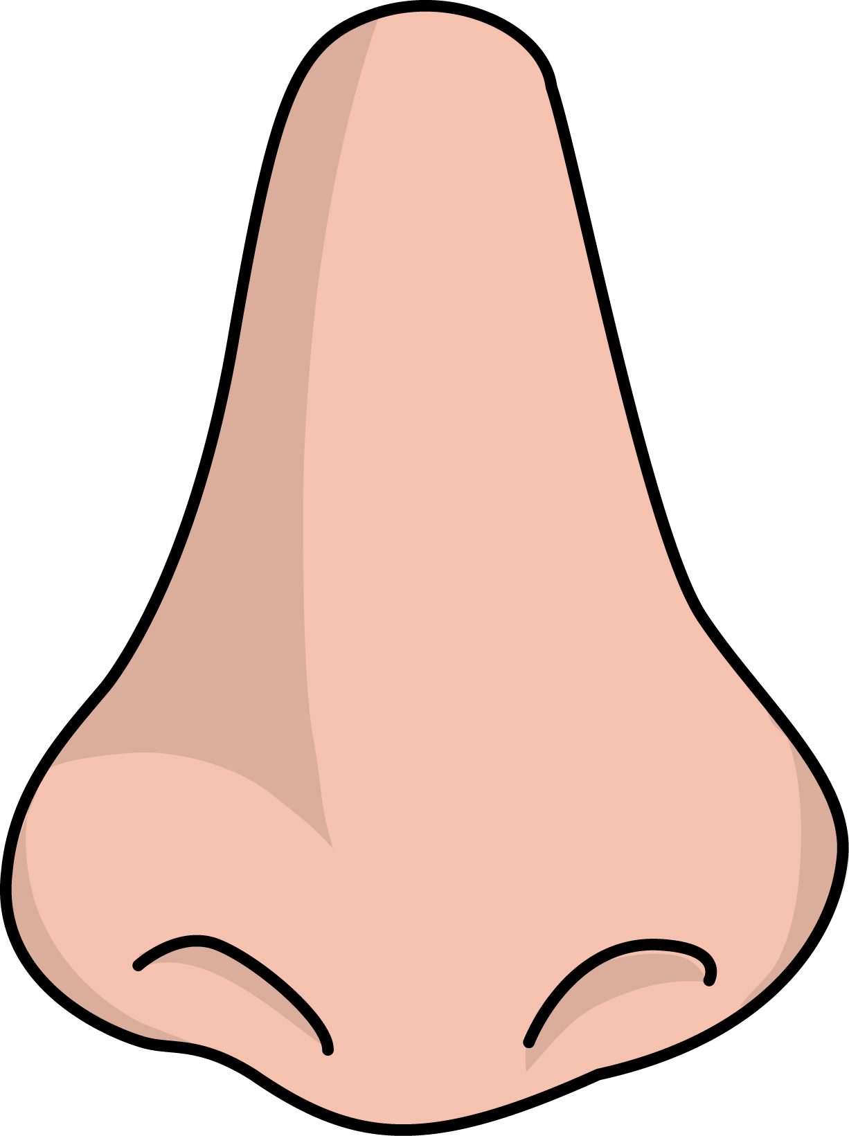 Human Nose PNG Image