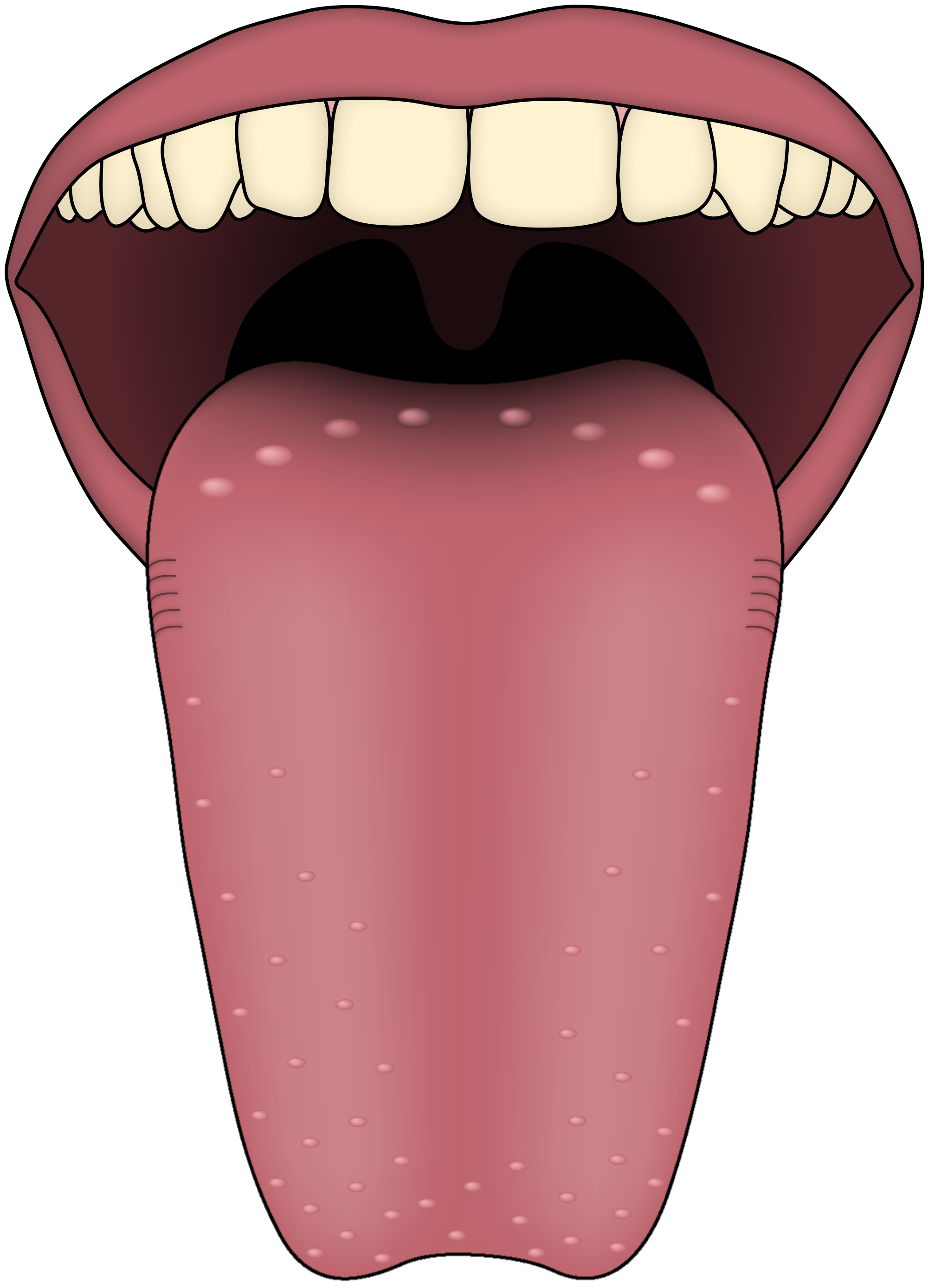 Human Tongue PNG Image