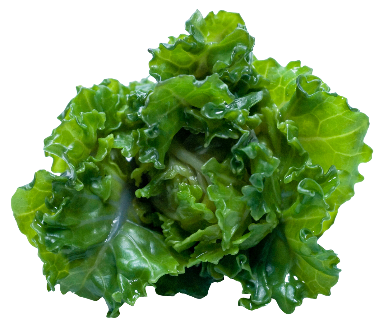 Kale PNG Image