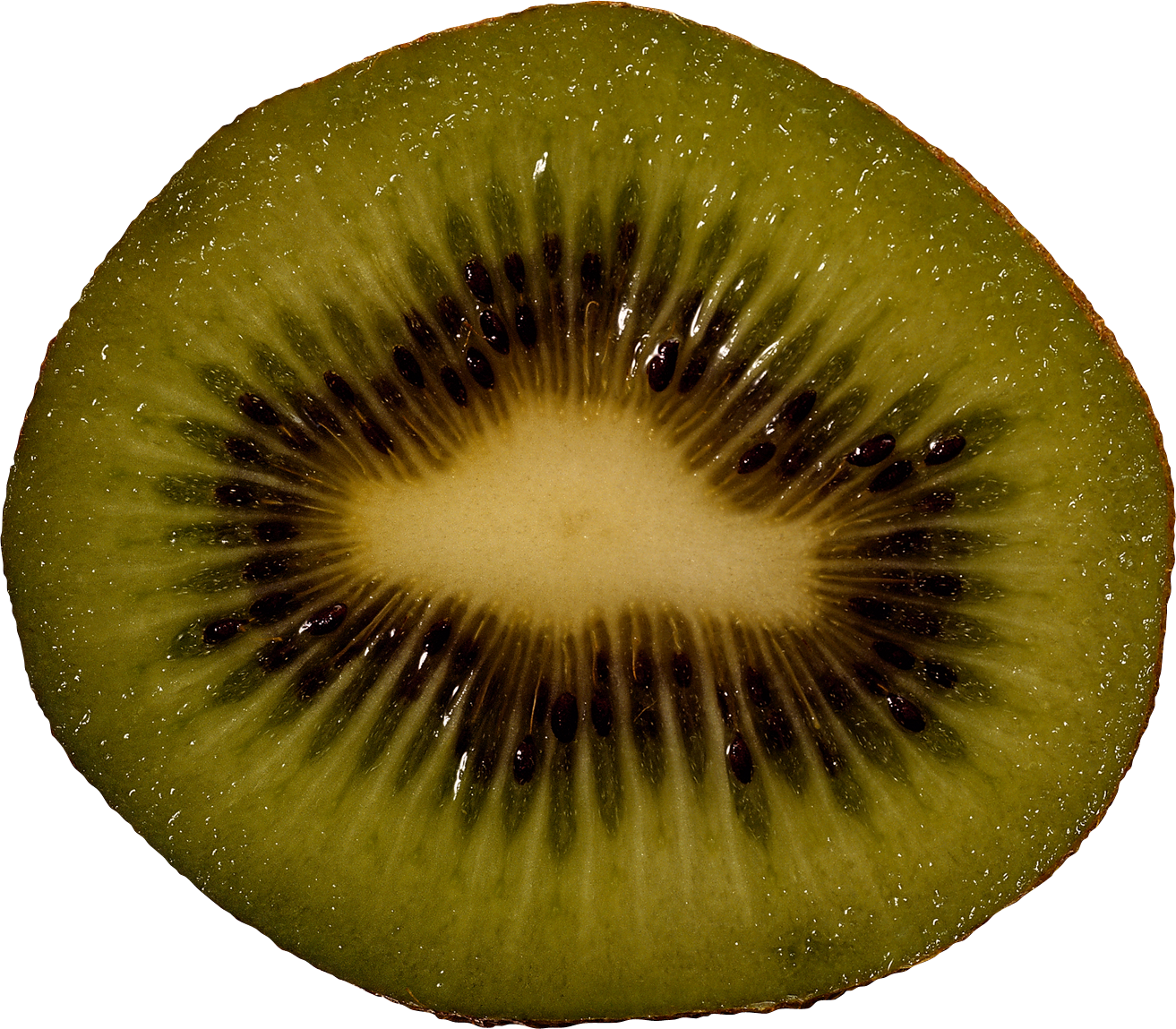 Kiwi PNG Image