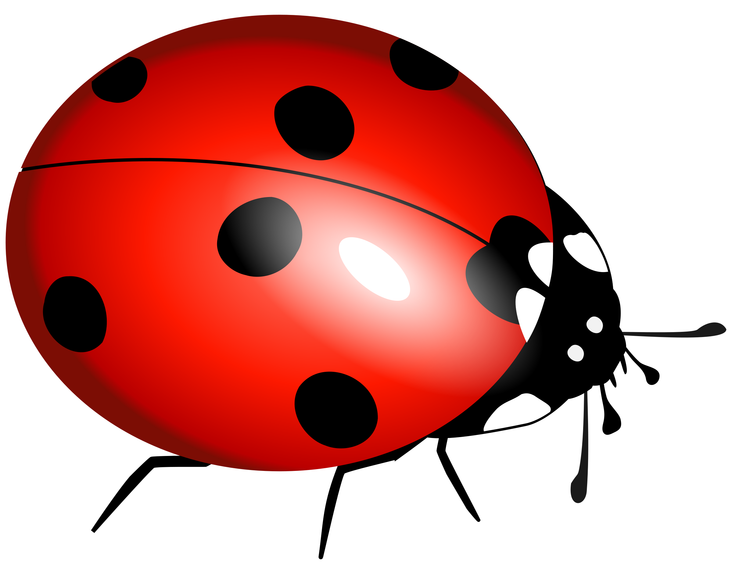 Download Ladybug Insect Illustration Royalty-Free Stock