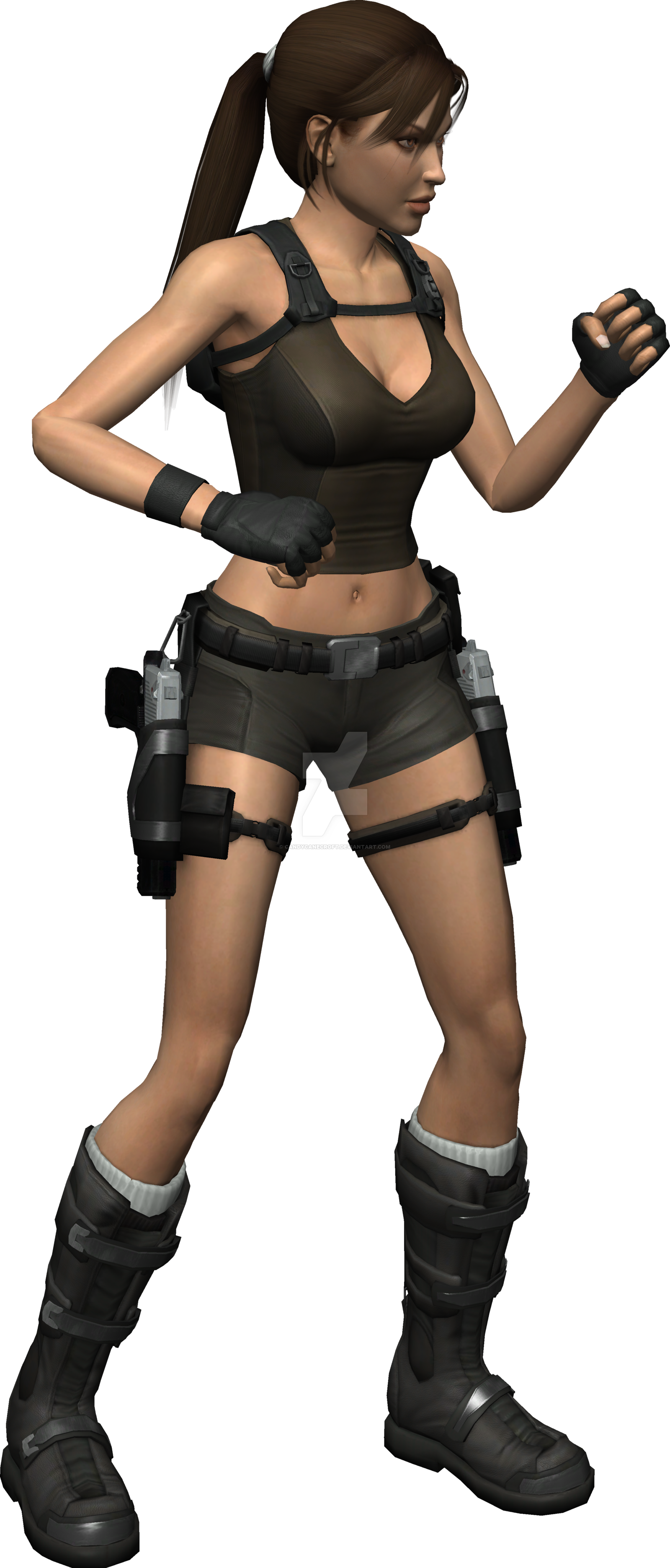 Lara Croft |  Tomb Raider PNG Image