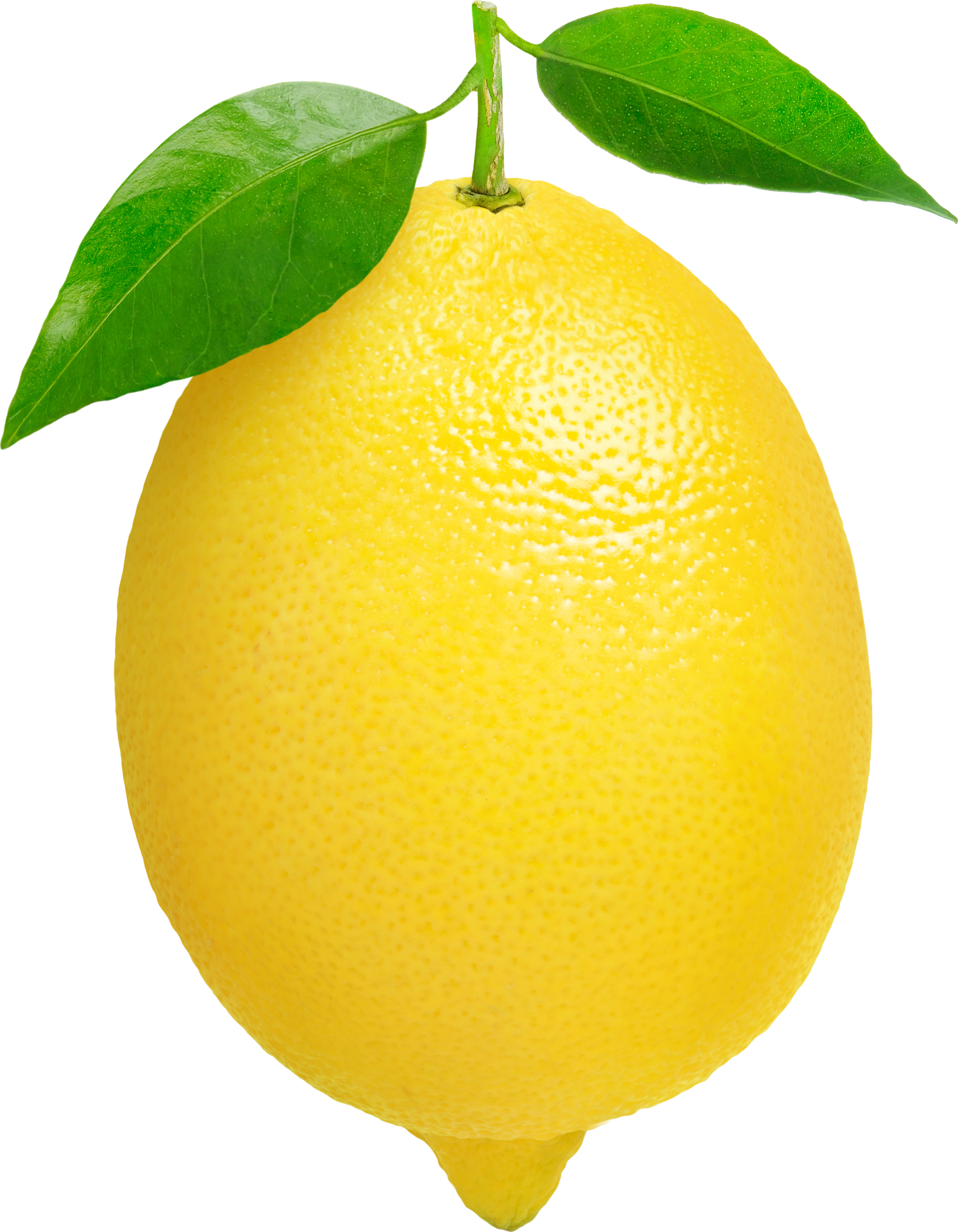 lemon-png-image-purepng-free-transparent-cc0-png-image-library