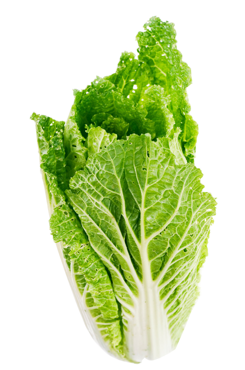 Lettuce Leaf PNG Image