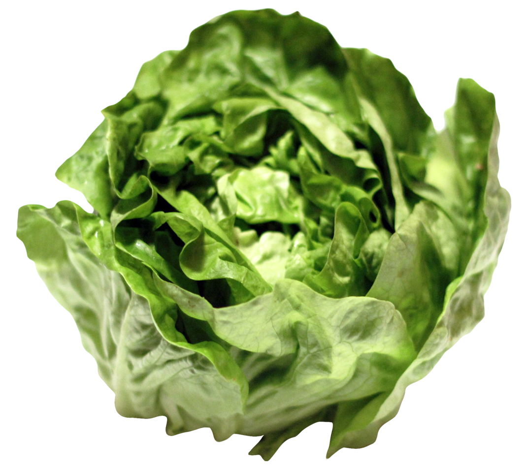 Lettuce PNG Image
