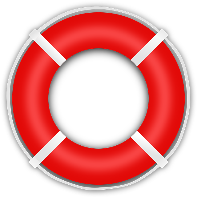 Lifebuoy PNG Image