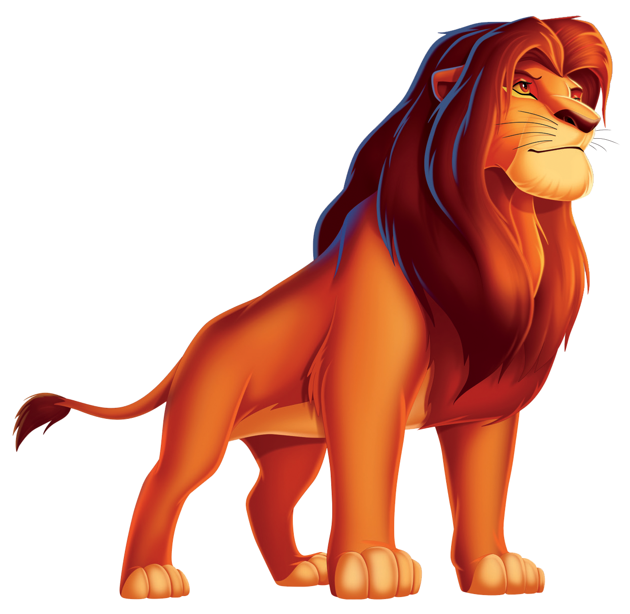 Lion King ]