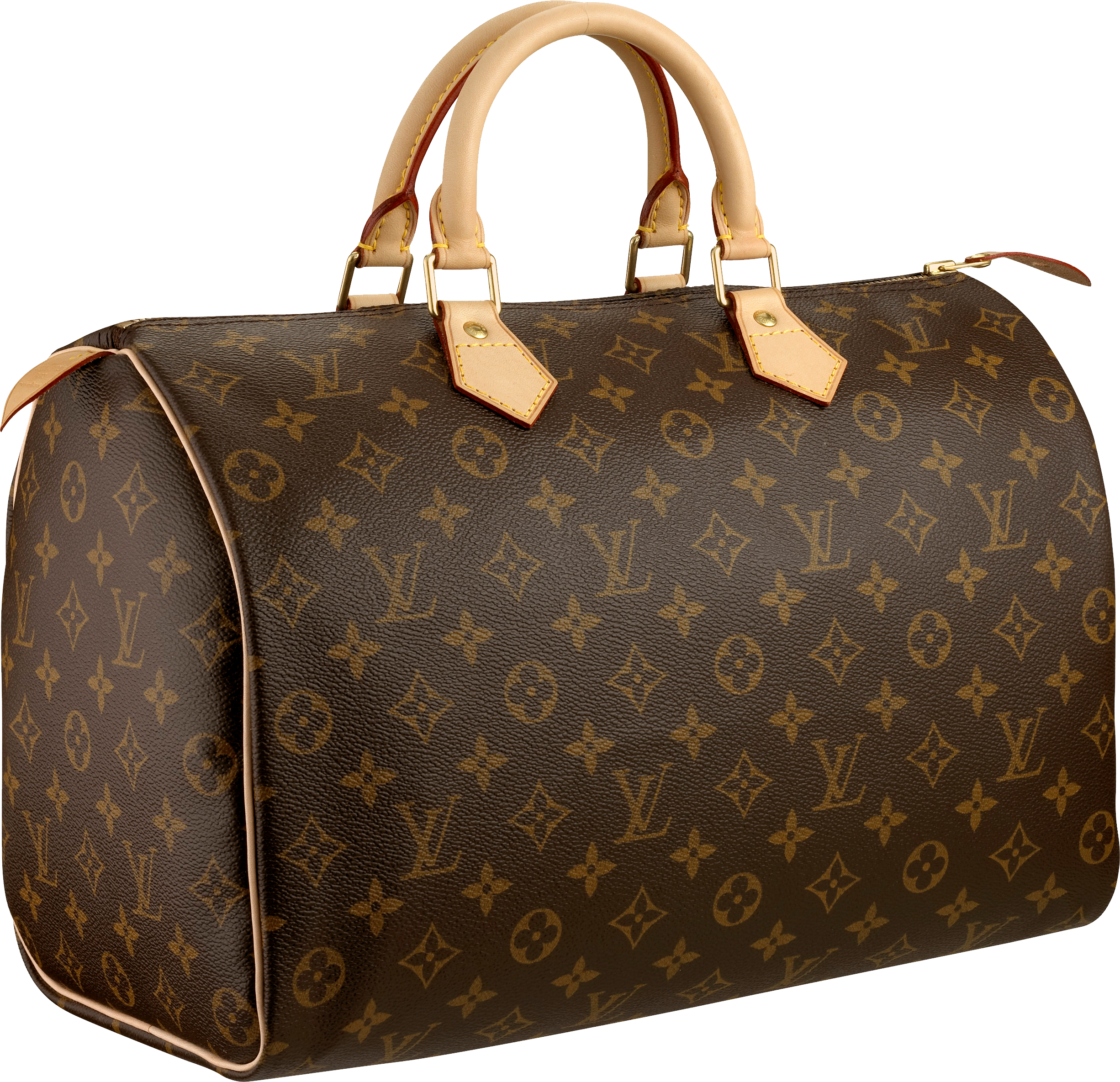 Louis Vuitton Women bag