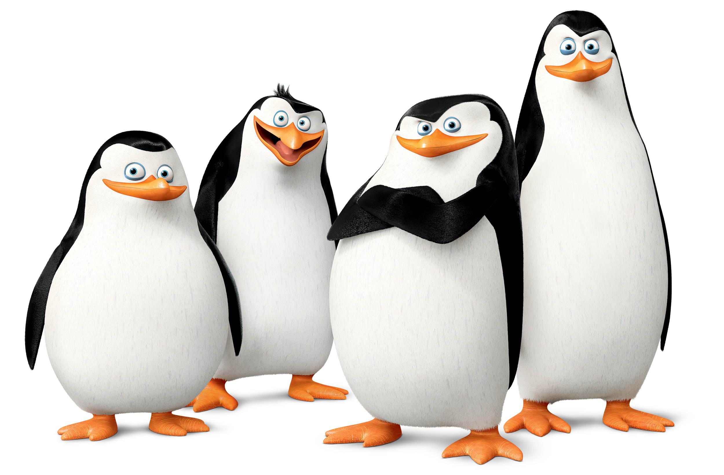 Madagascar Penguins PNG Image - PurePNG | Free transparent ...