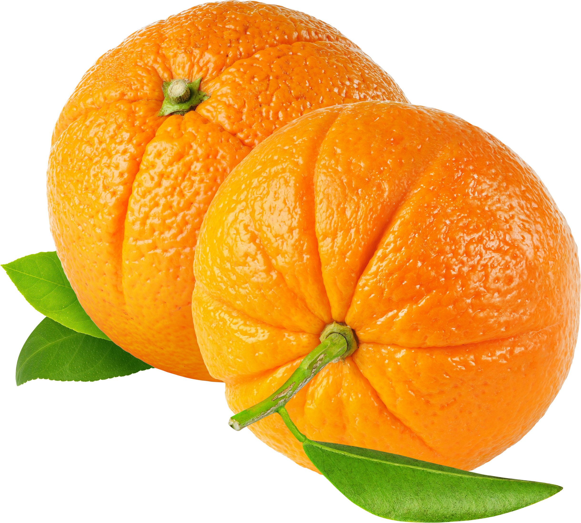  Mandarin  PNG Image PurePNG Free transparent CC0 PNG 