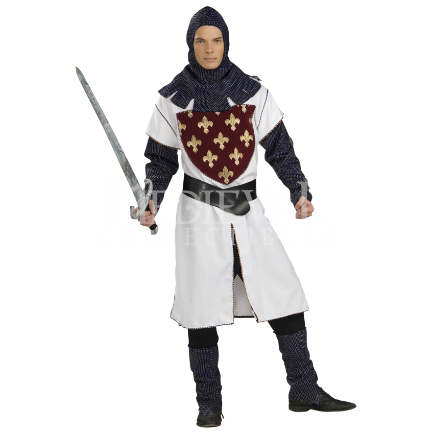 Medival Knight PNG Image