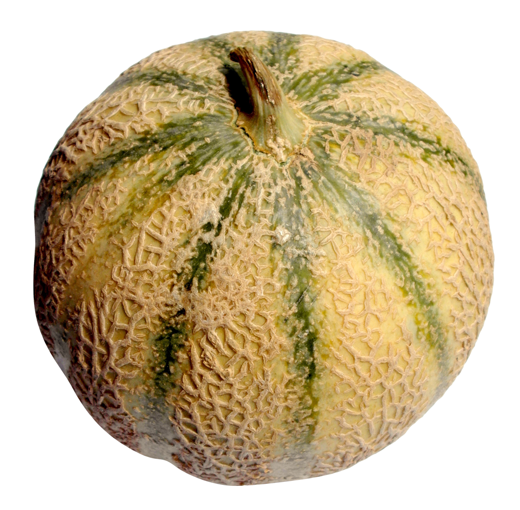 Melon PNG Image