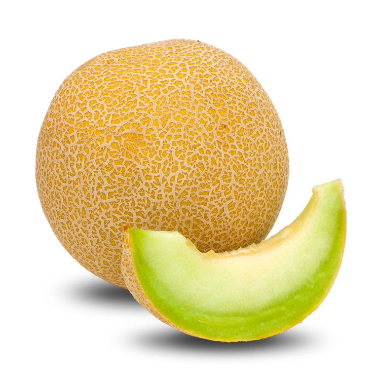 Melon PNG Image