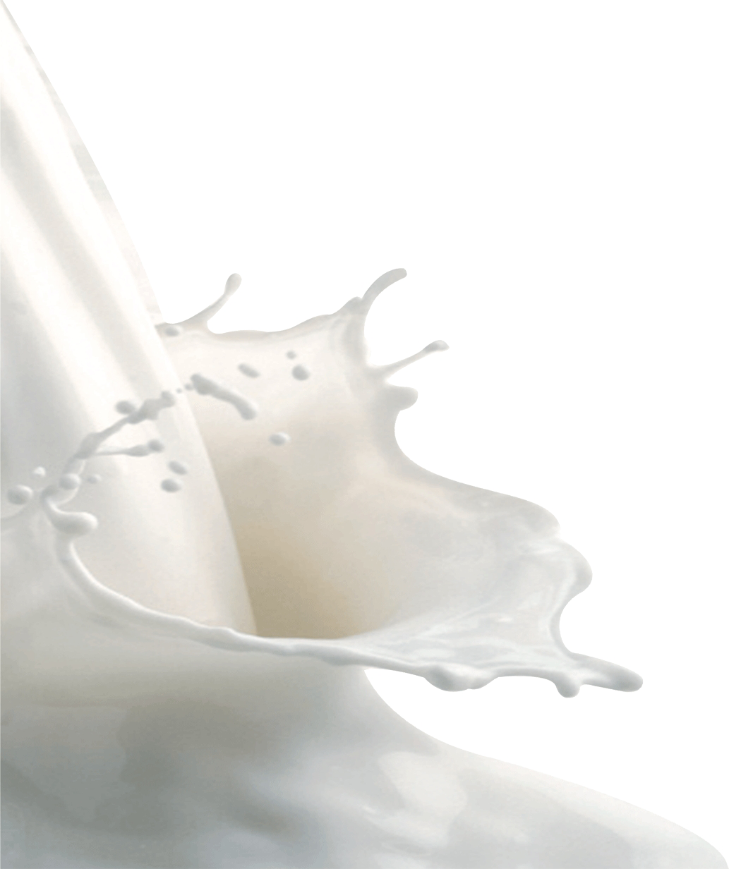 Milk PNG Image