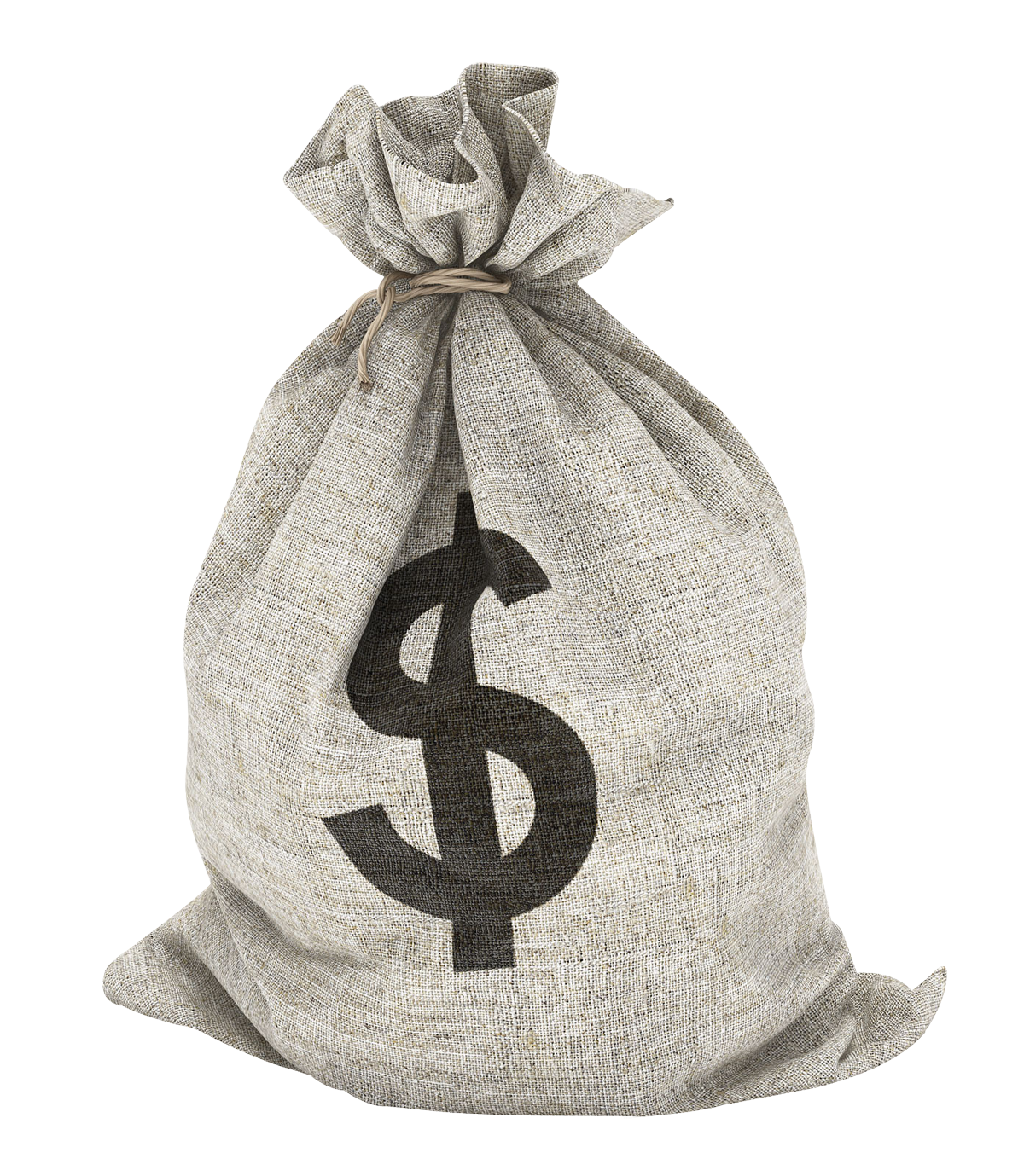 Money Bag Png 