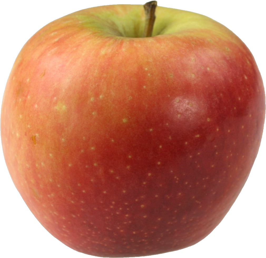 Multicolored Apple PNG Image