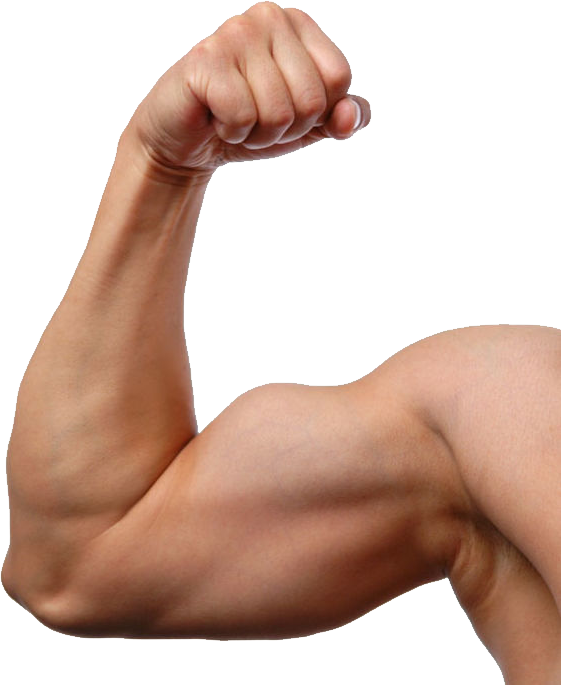 Muscle PNG Image