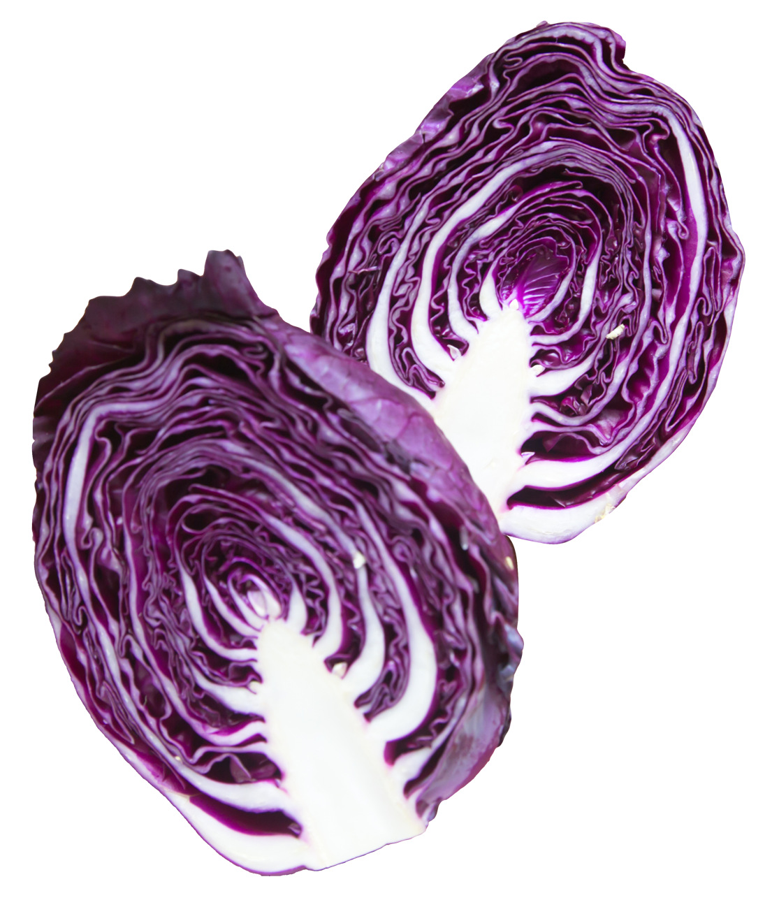 Napa Cabbage Purple PNG Image