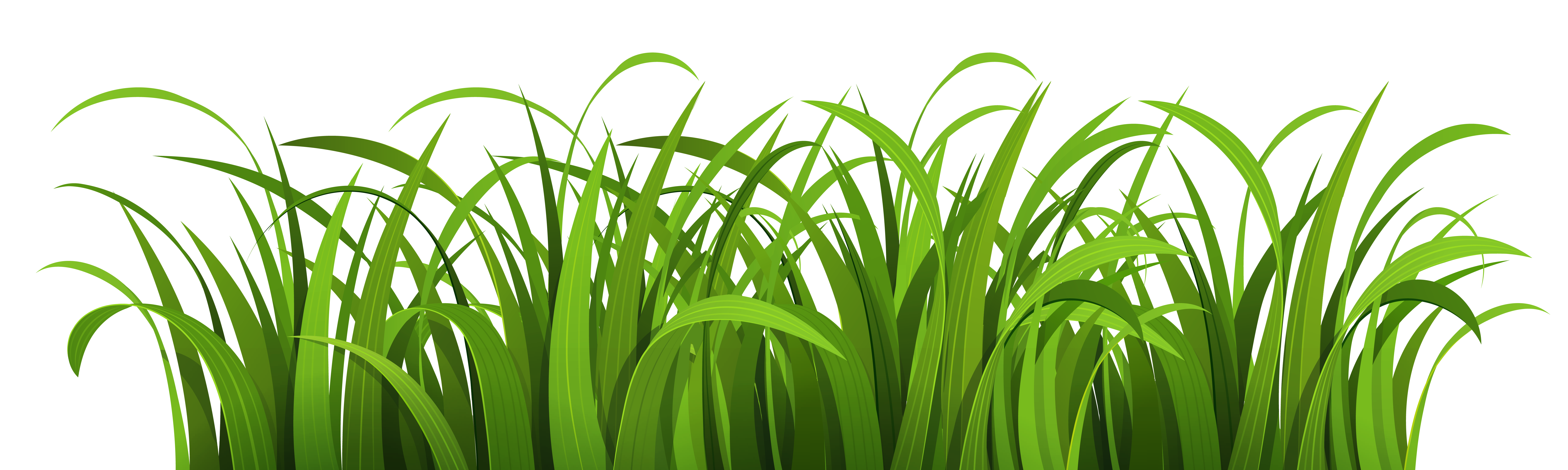 Nature Clipart PNG Image