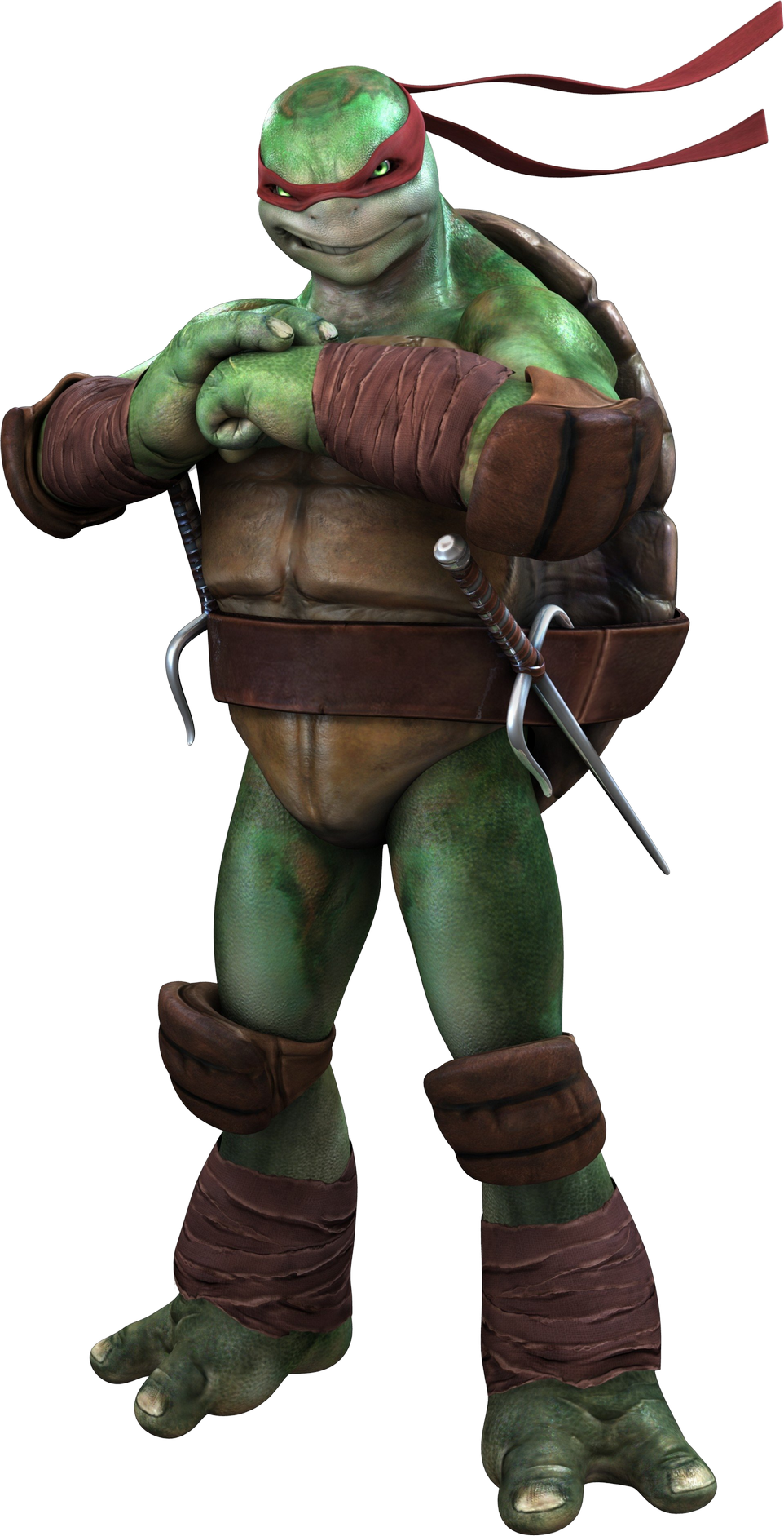 Ninja Turtle PNG Image